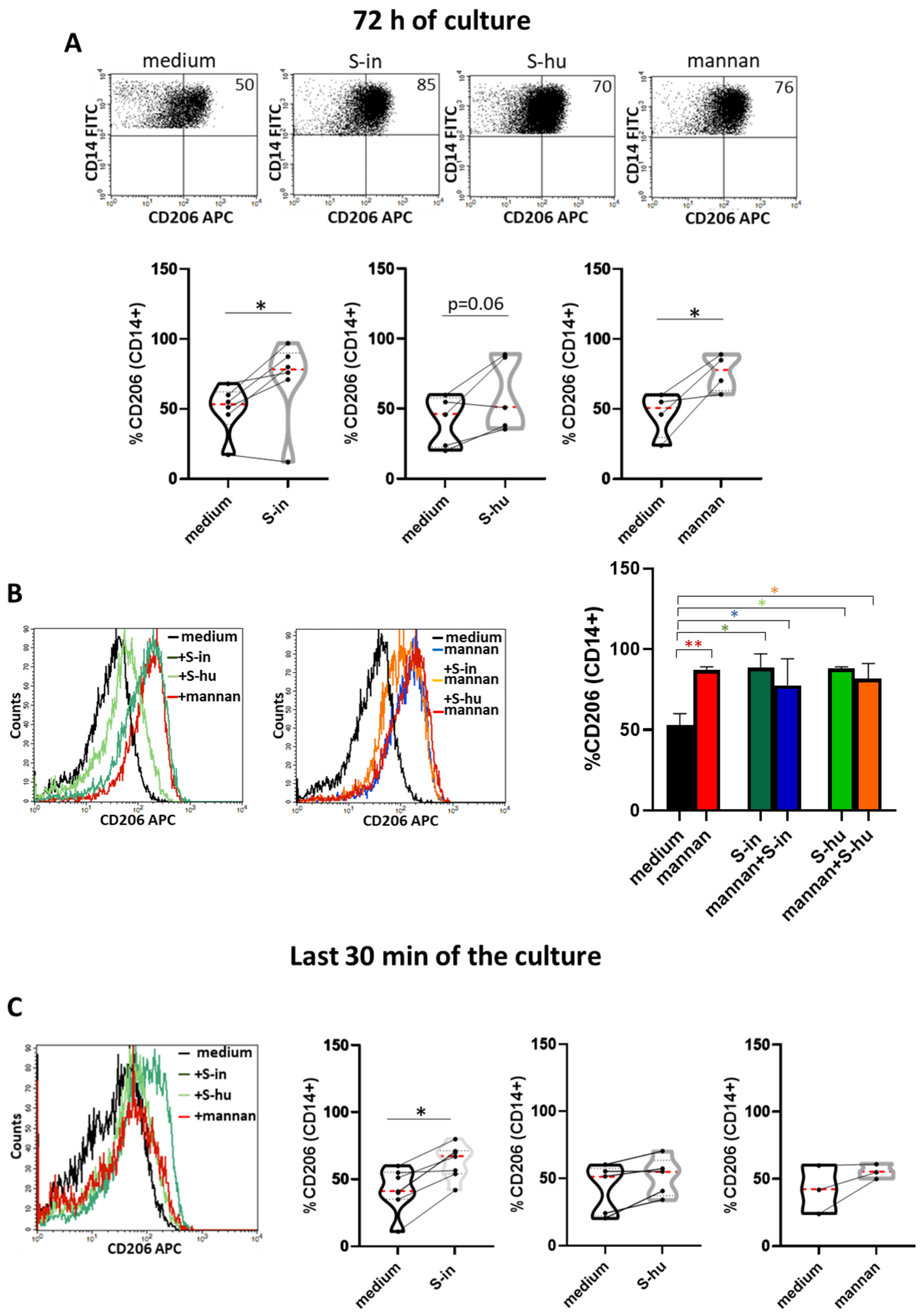 Viruses 16 00497 g007