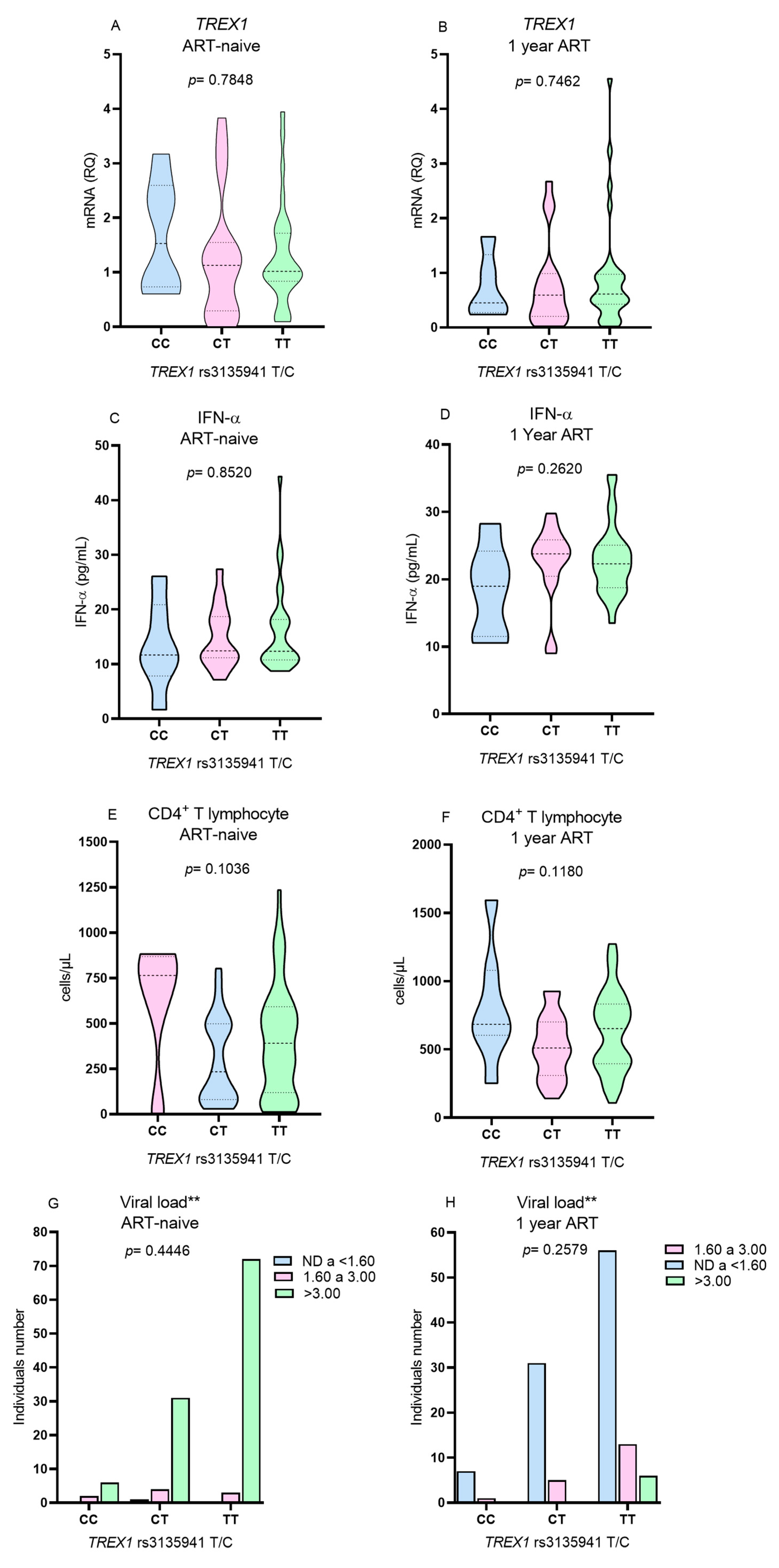Viruses 16 00499 g003