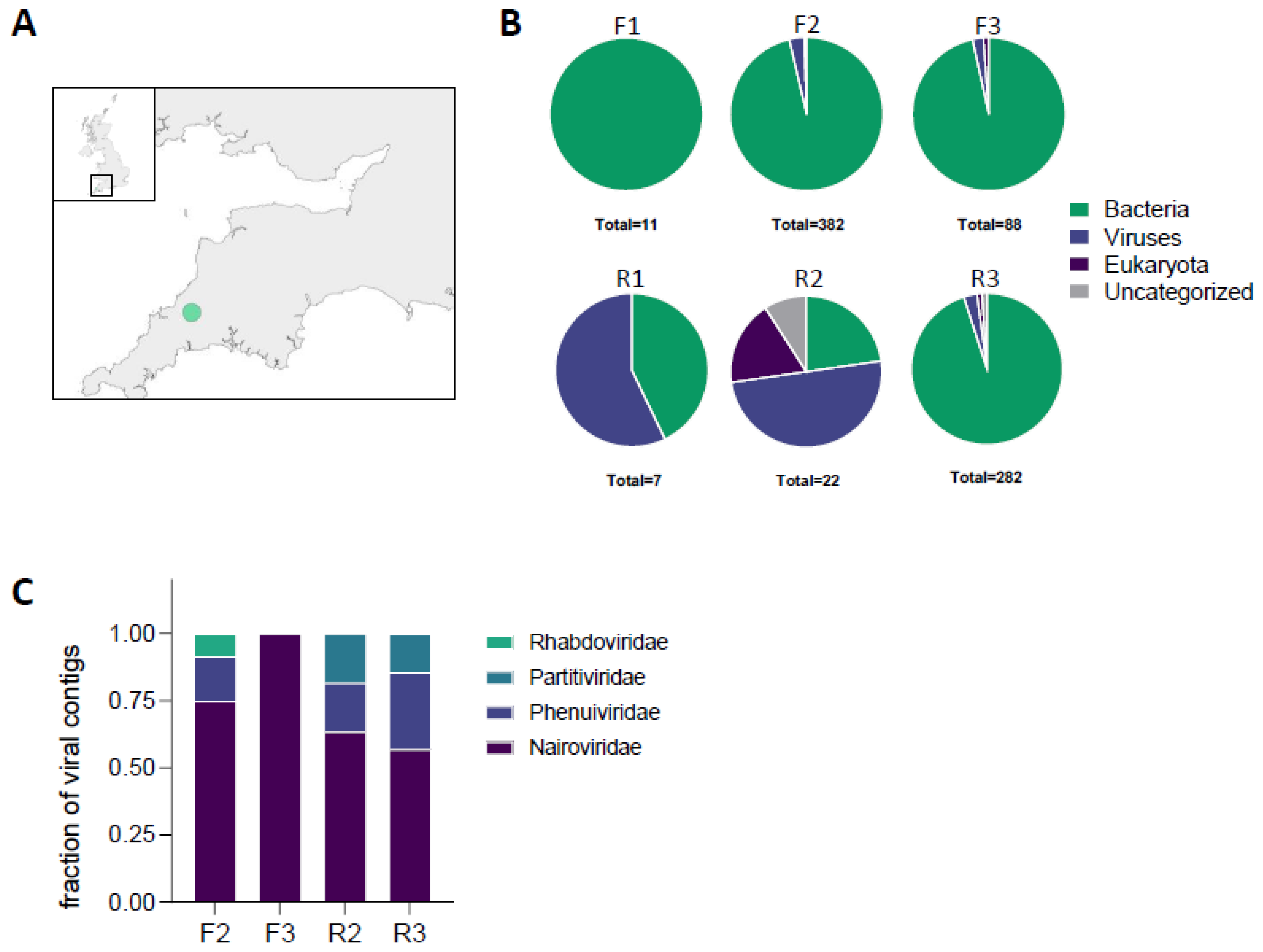 Viruses 16 00504 g001