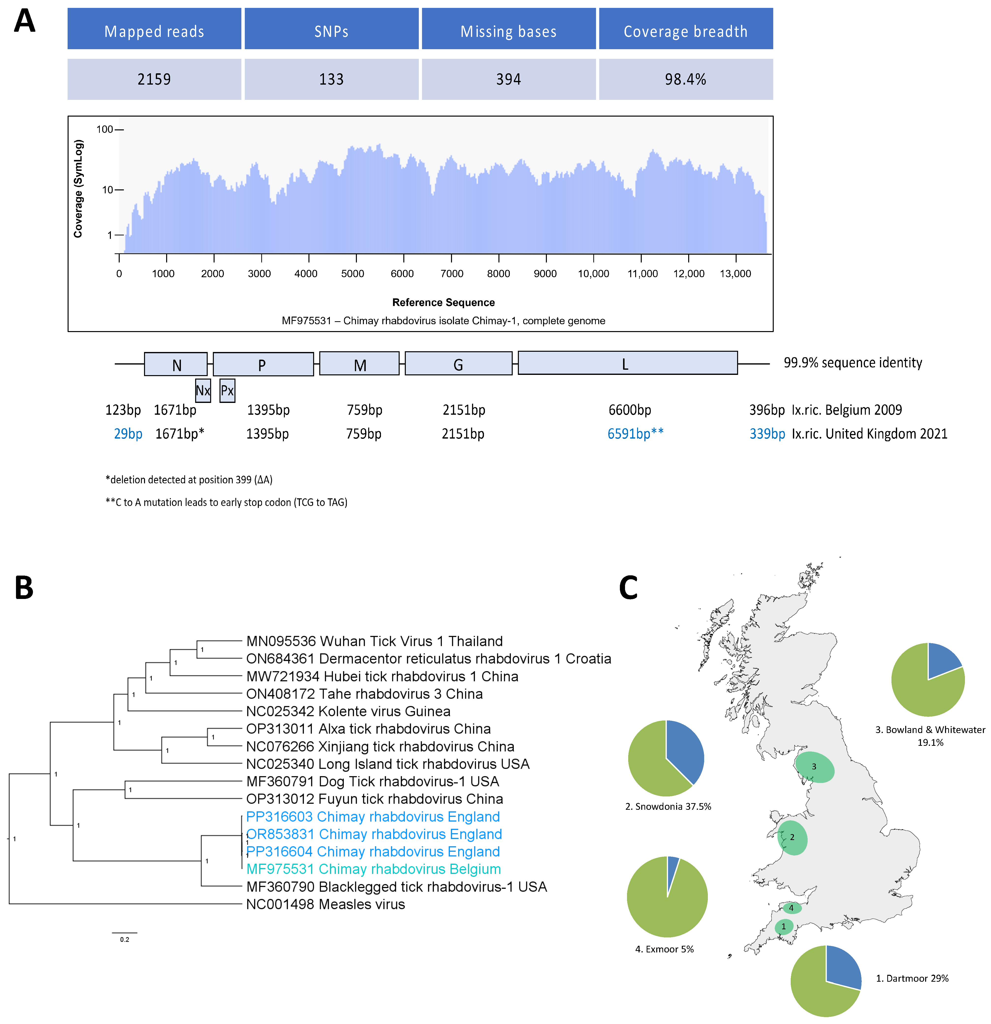 Viruses 16 00504 g002