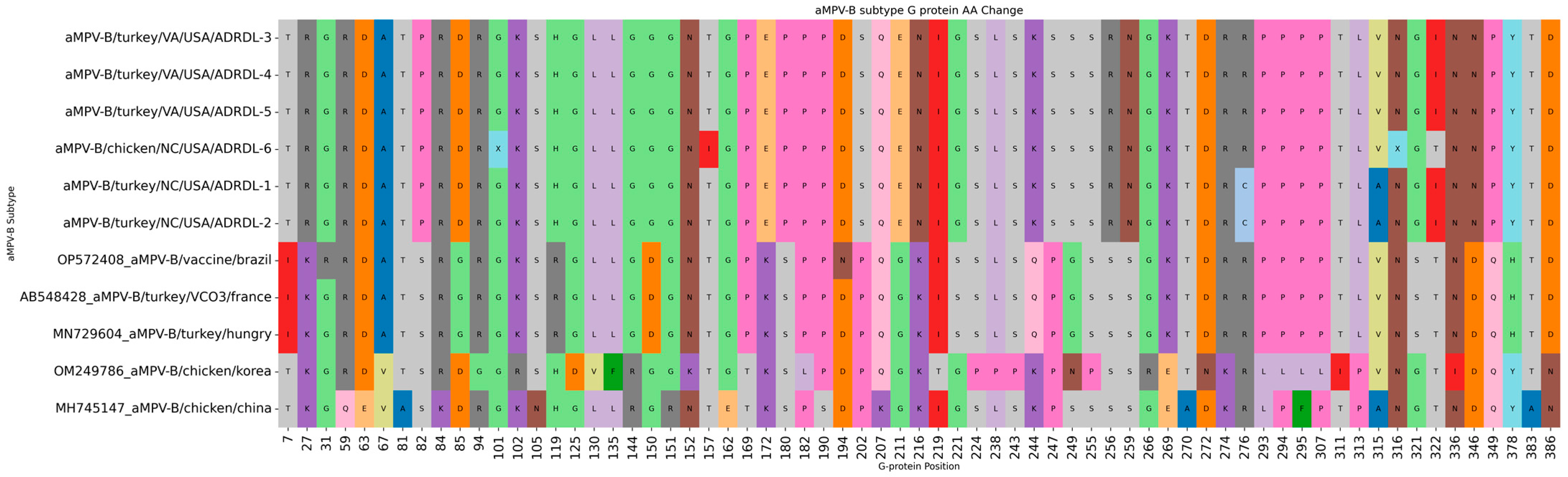 Viruses 16 00508 g006