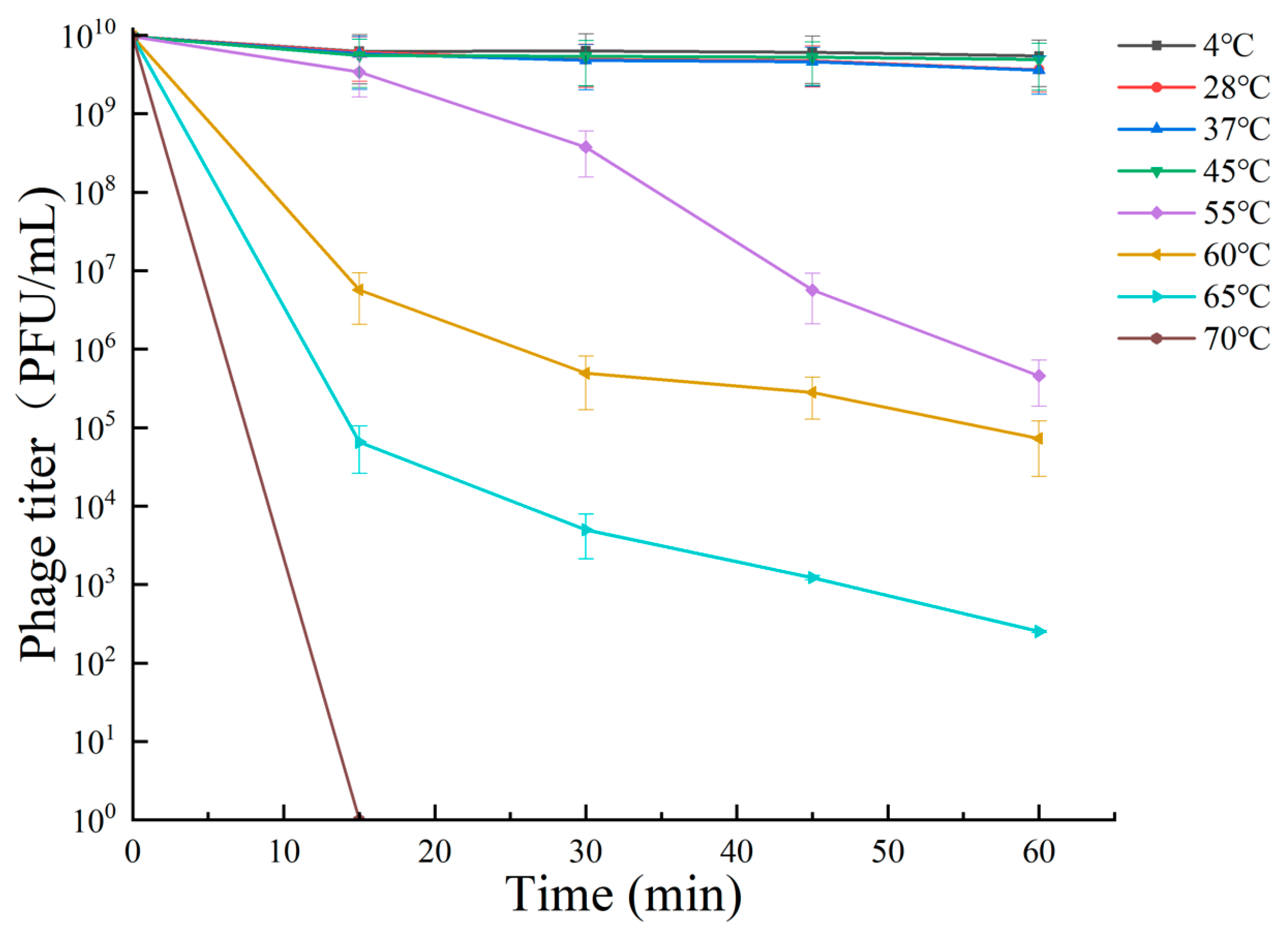 Viruses 16 00509 g003