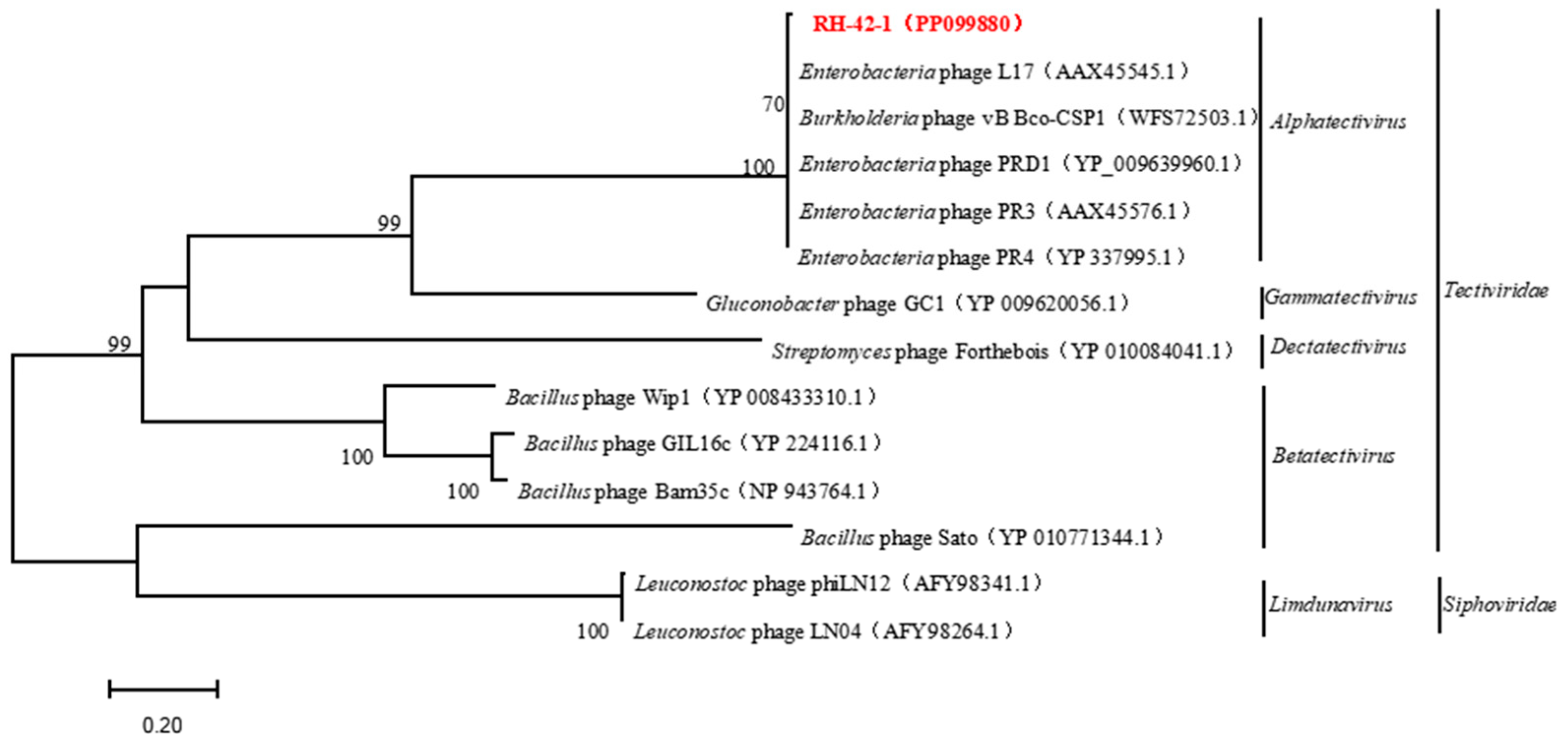 Viruses 16 00509 g009