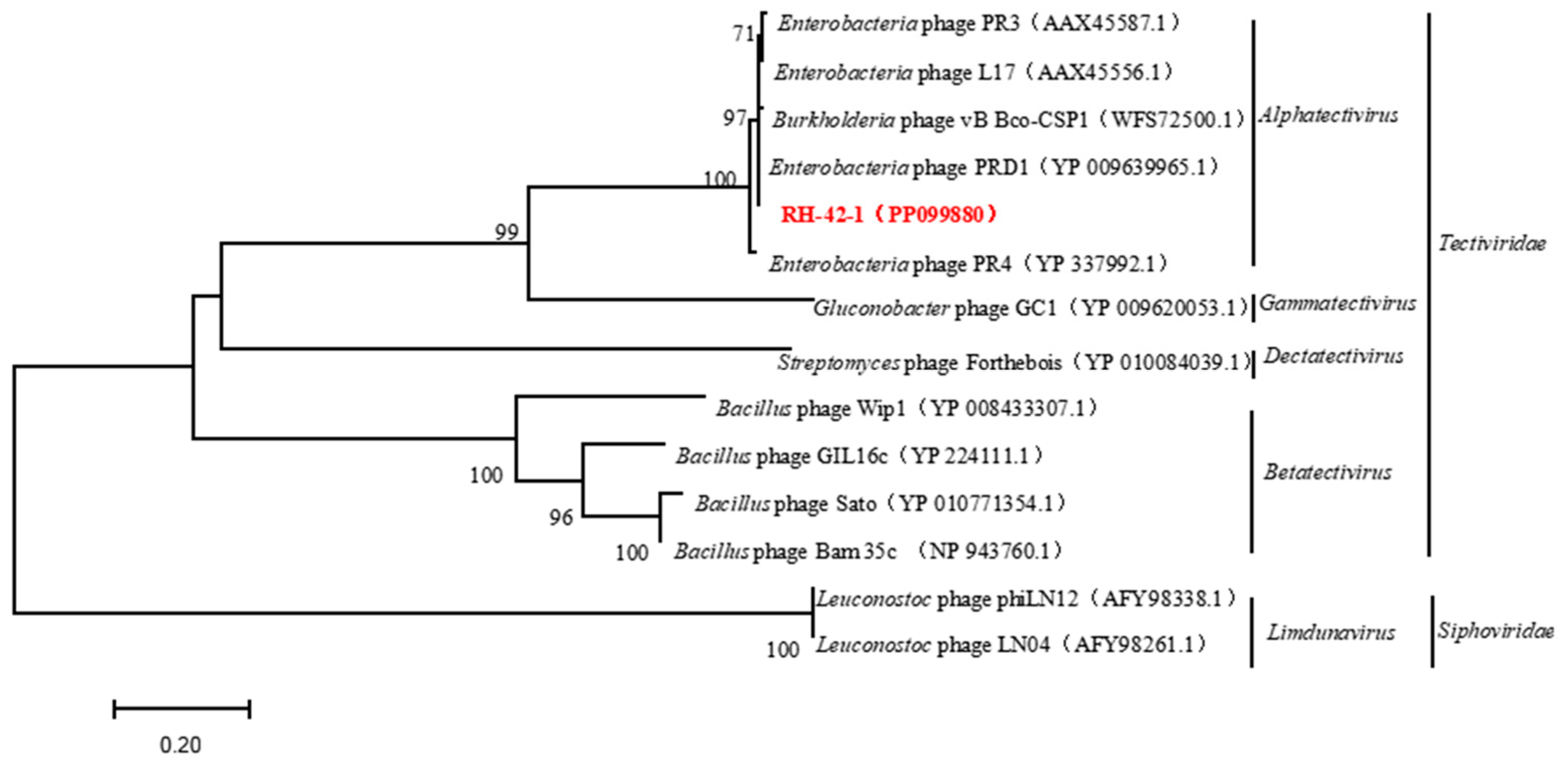 Viruses 16 00509 g010
