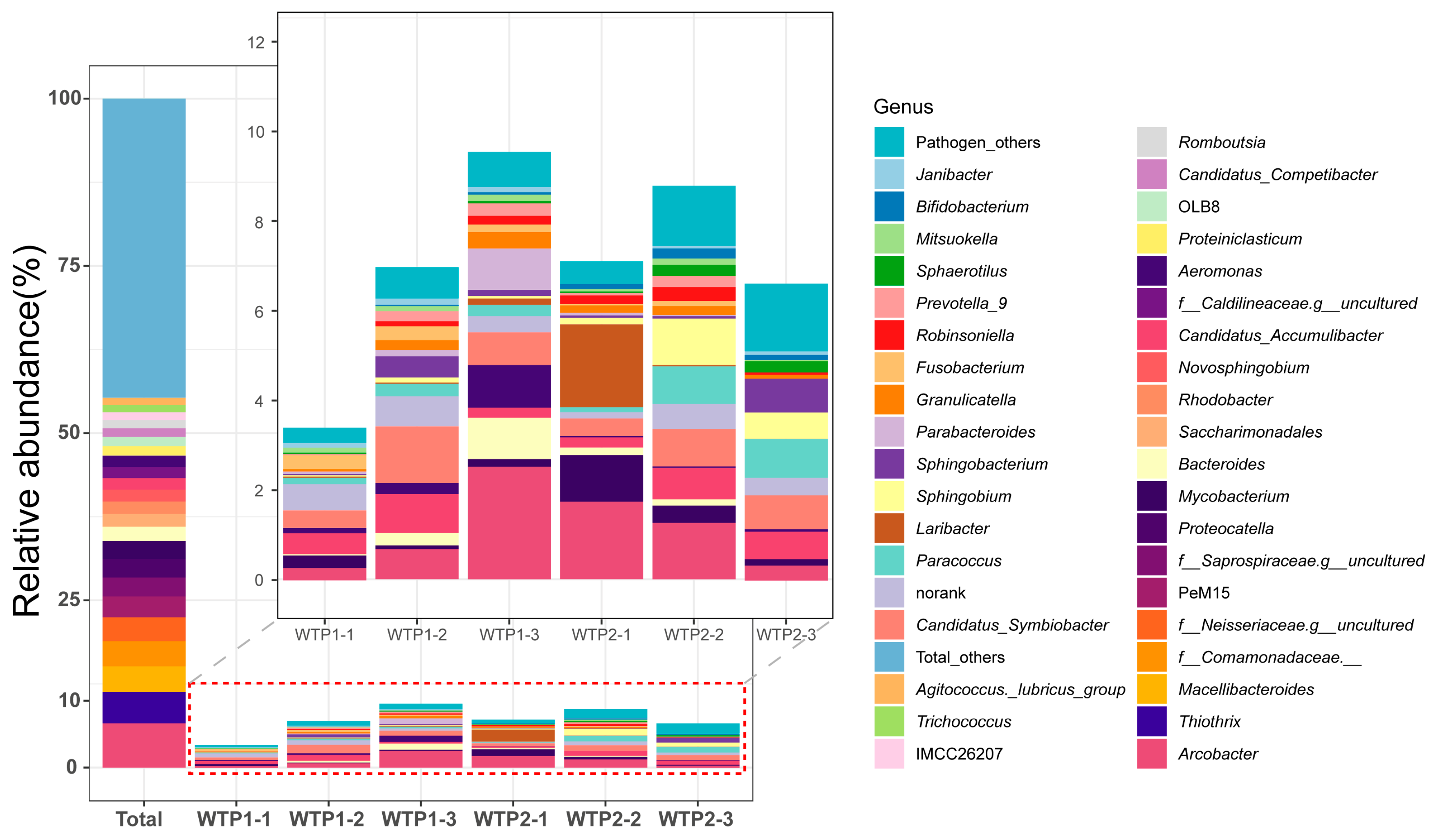 Viruses 16 00535 g001