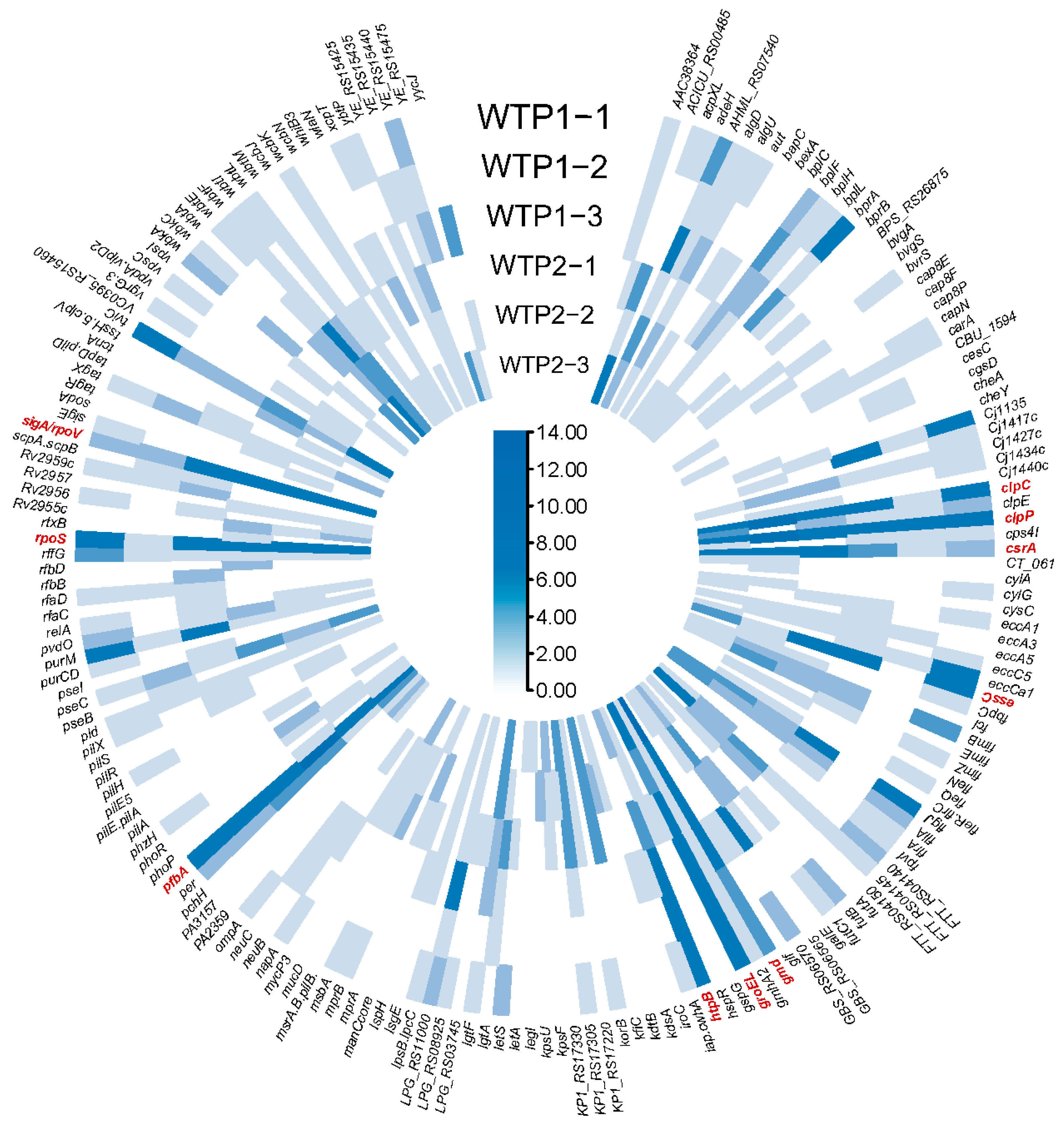 Viruses 16 00535 g006