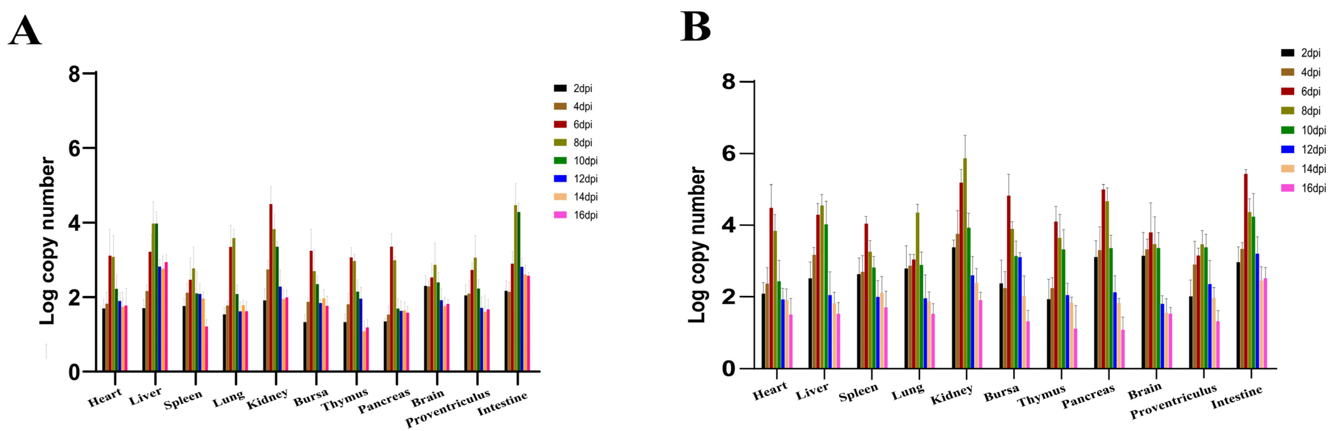 Viruses 16 00541 g008