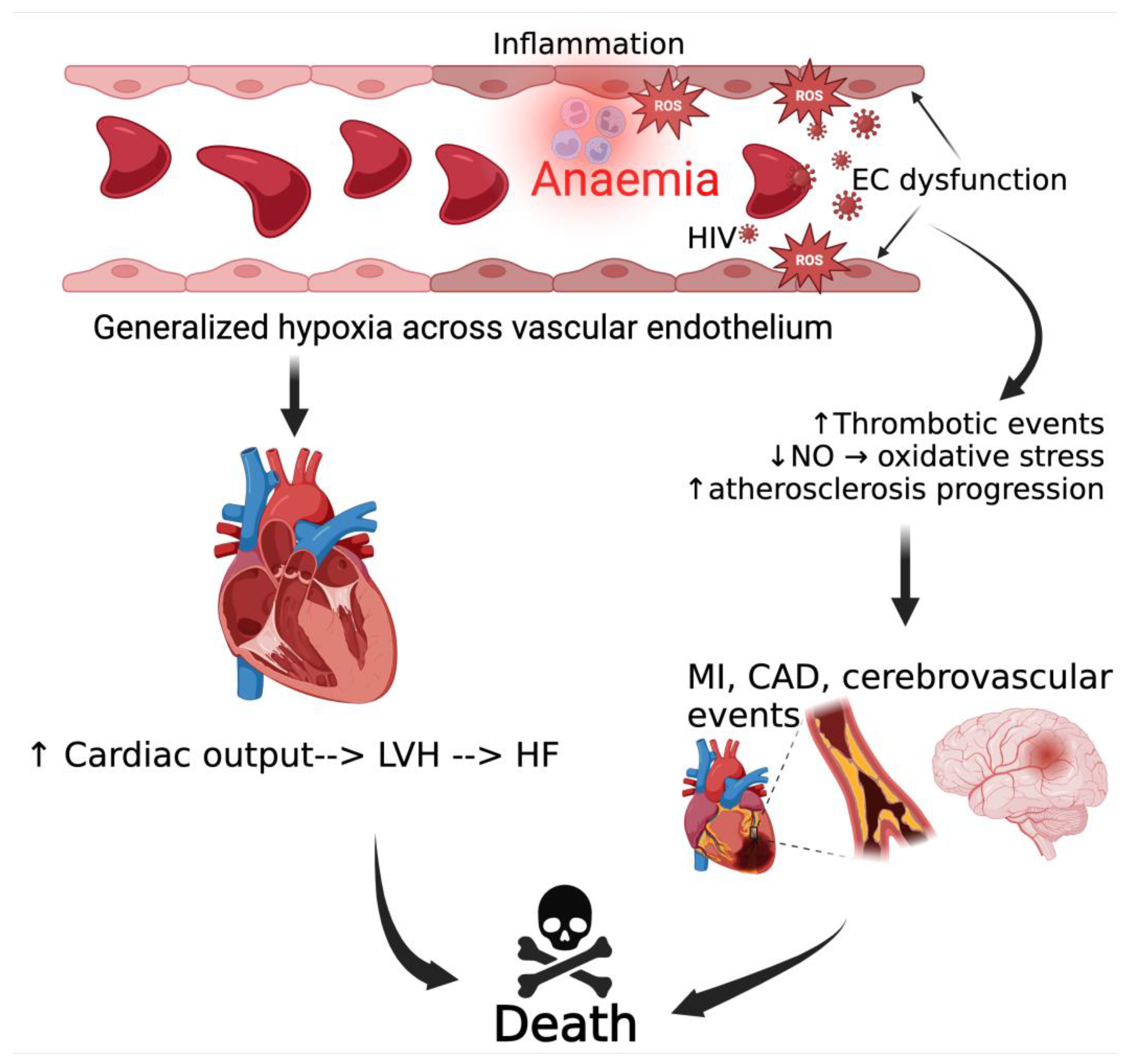 Viruses 16 00542 g005