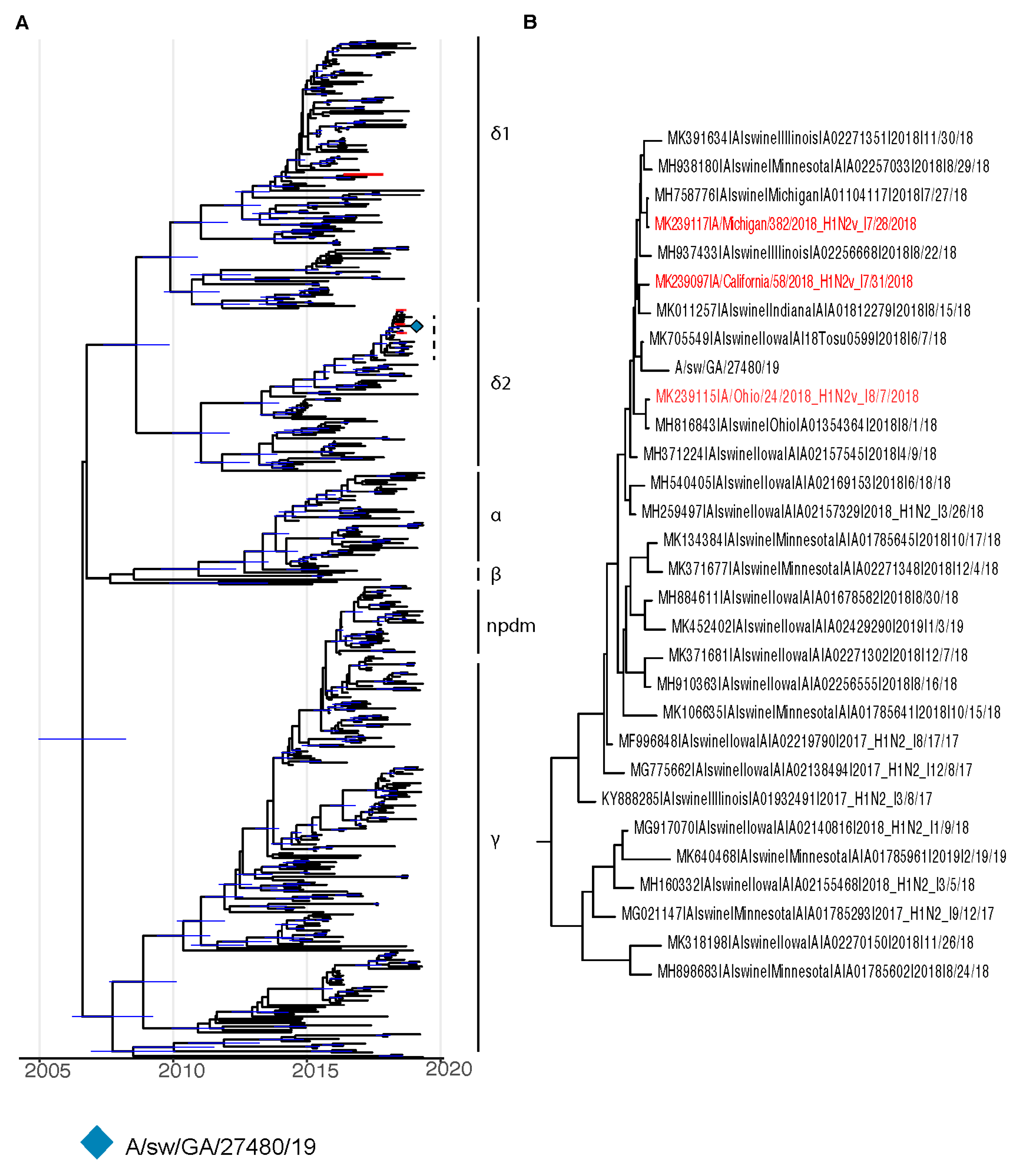 Viruses 16 00548 g001
