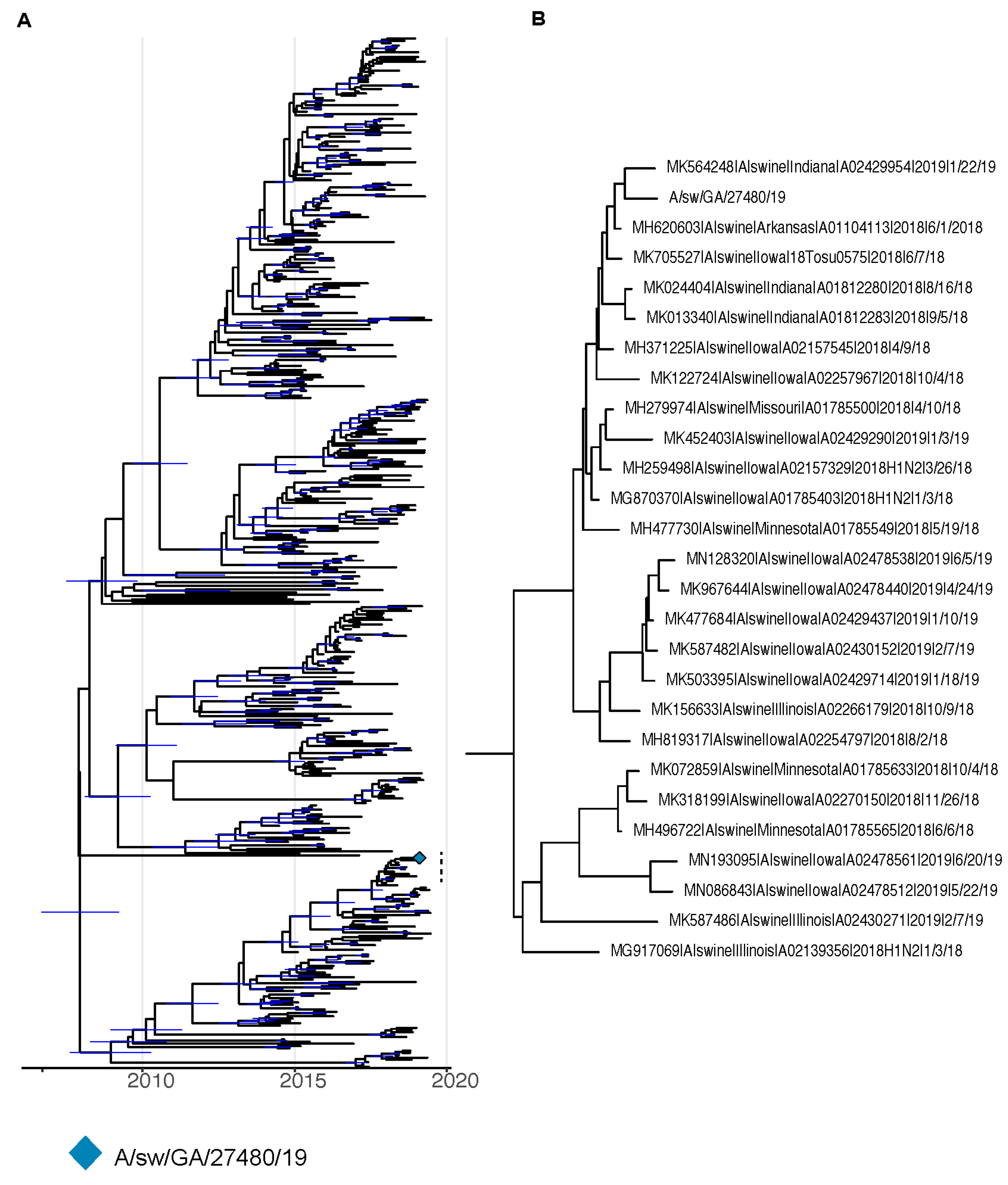 Viruses 16 00548 g002
