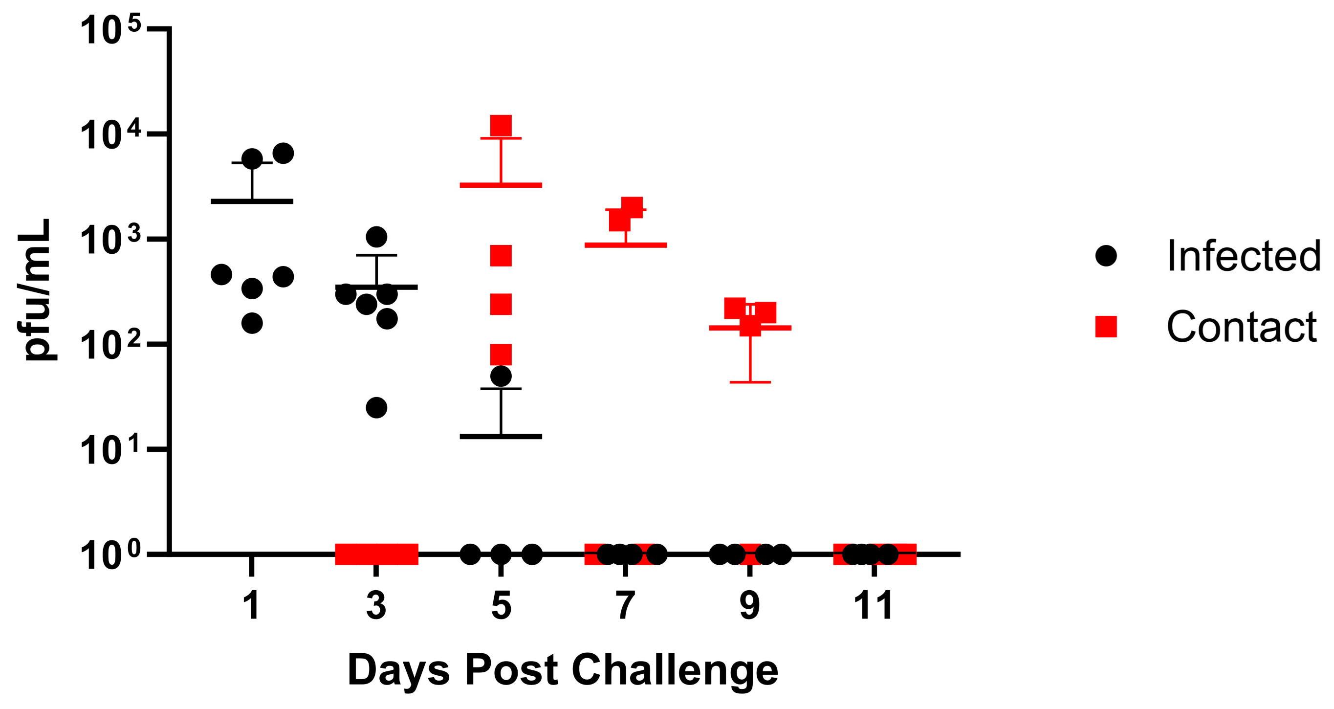 Viruses 16 00548 g005