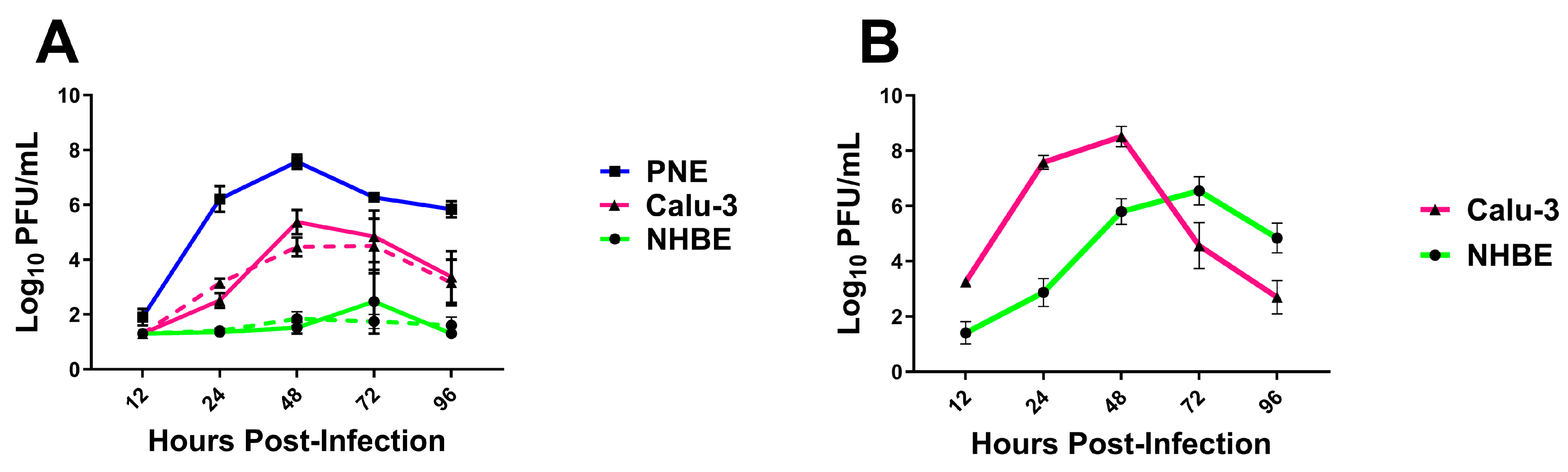 Viruses 16 00548 g006