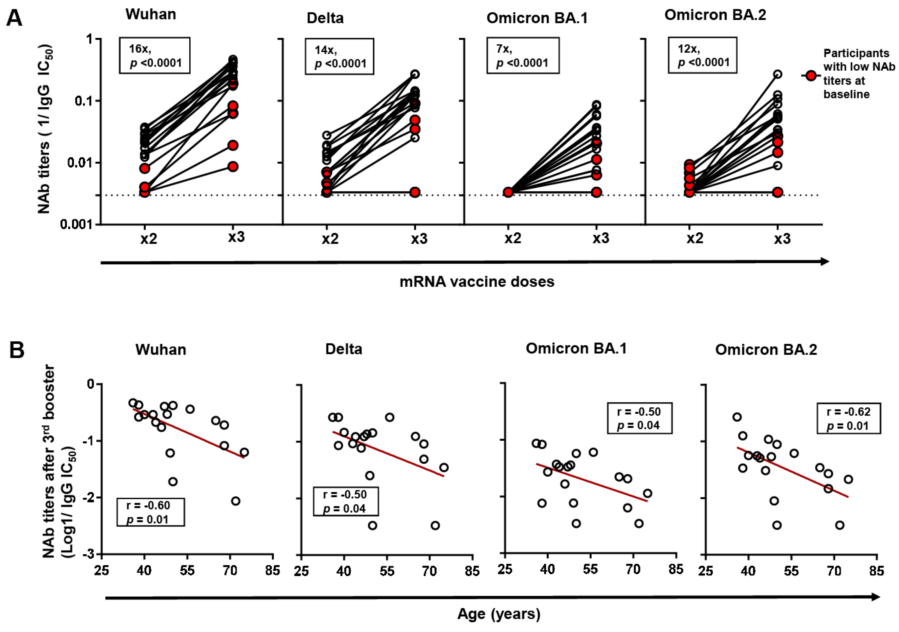 Viruses 16 00555 g002