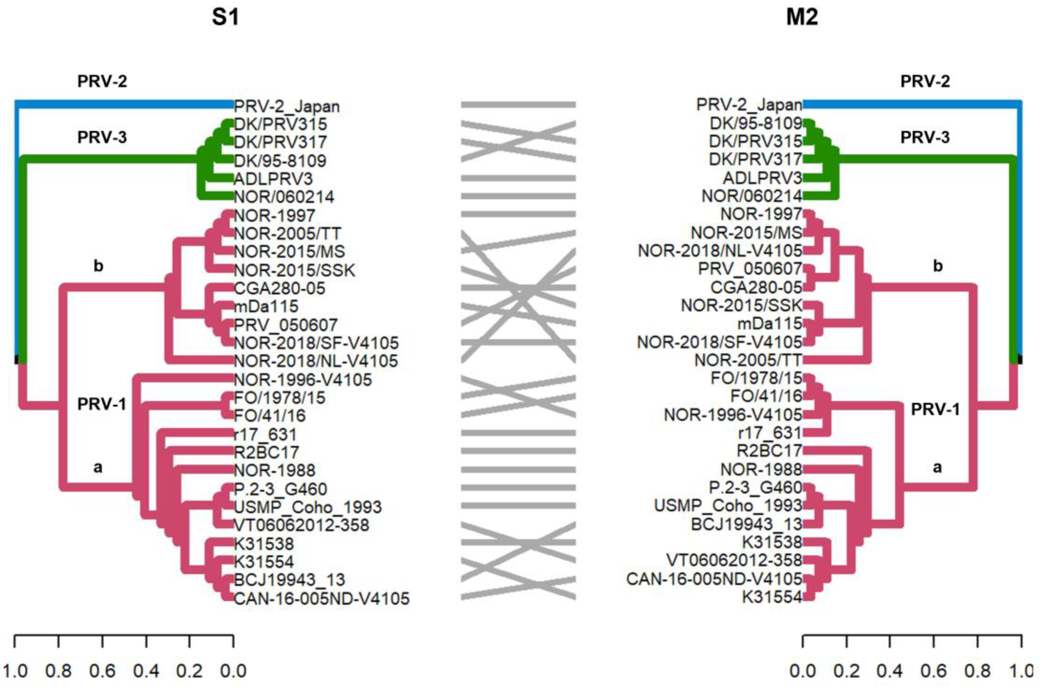 Viruses 16 00556 g002