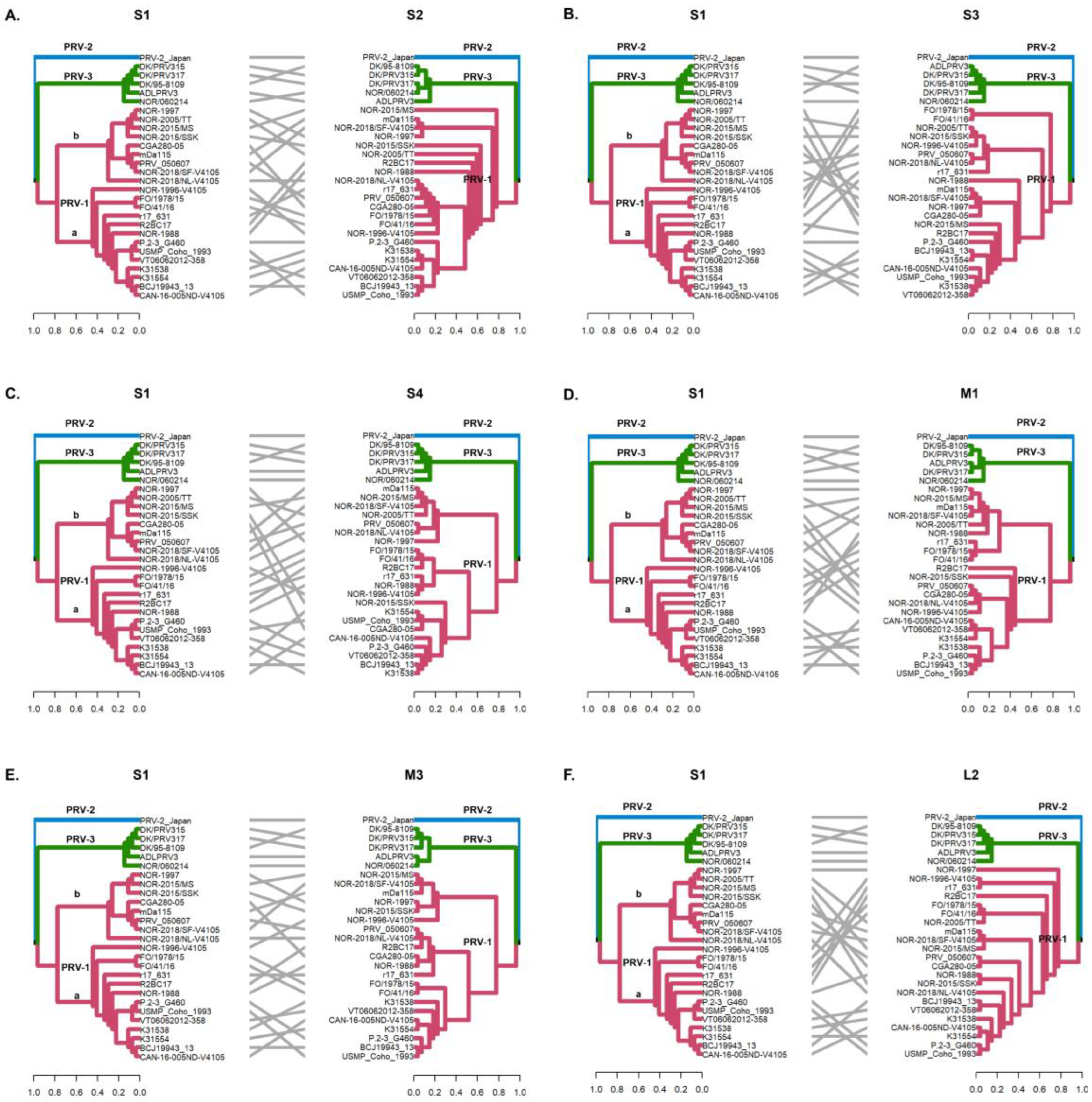 Viruses 16 00556 g003