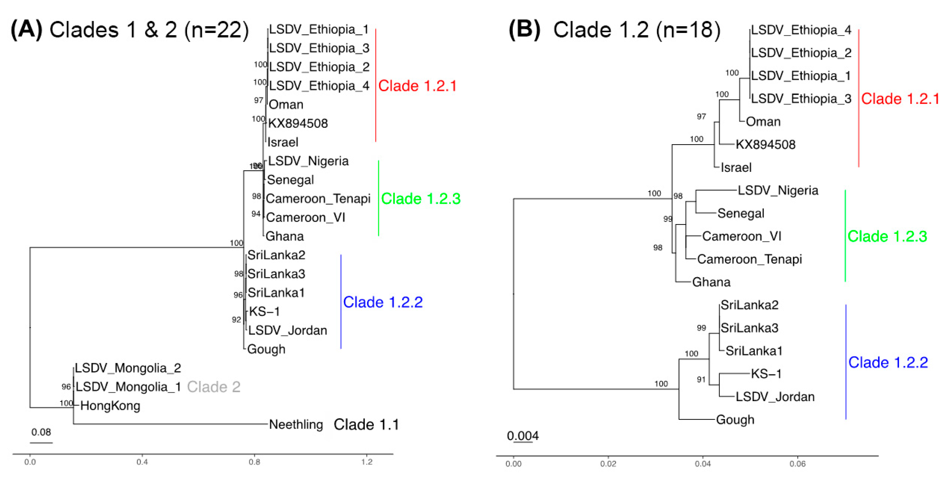 Viruses 16 00557 g001