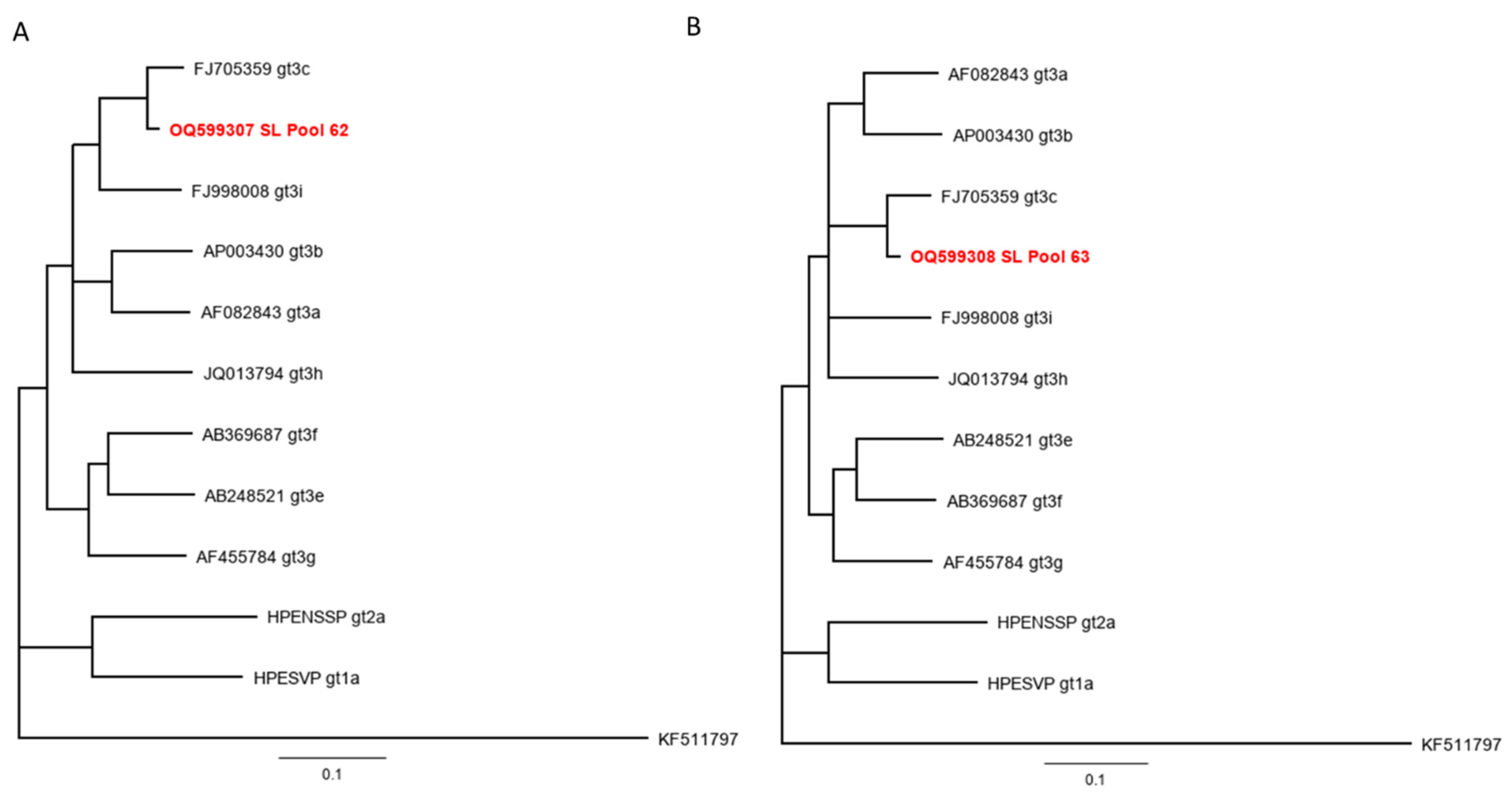 Viruses 16 00558 g002 Viruses 16 00558 g002