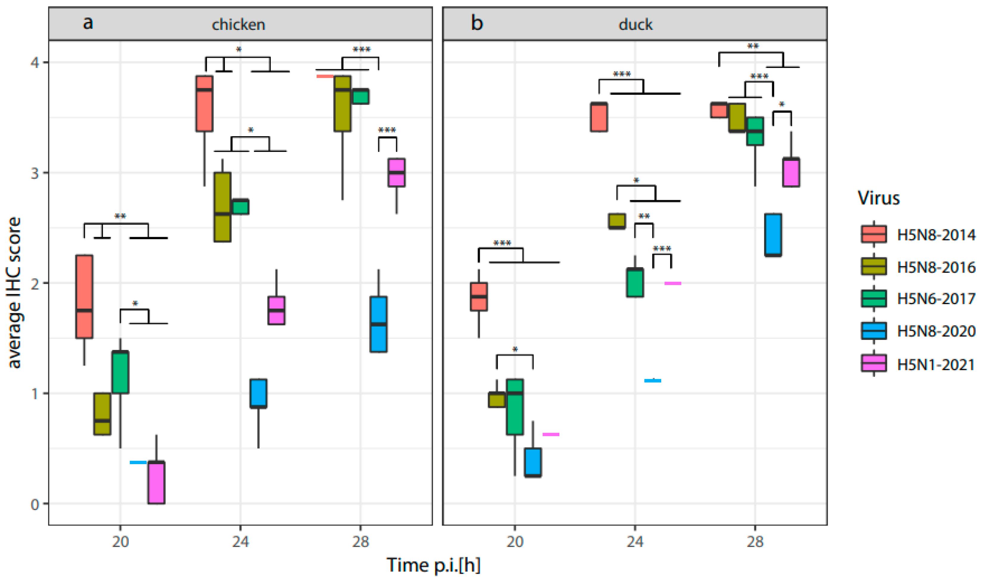Viruses 16 00563 g004