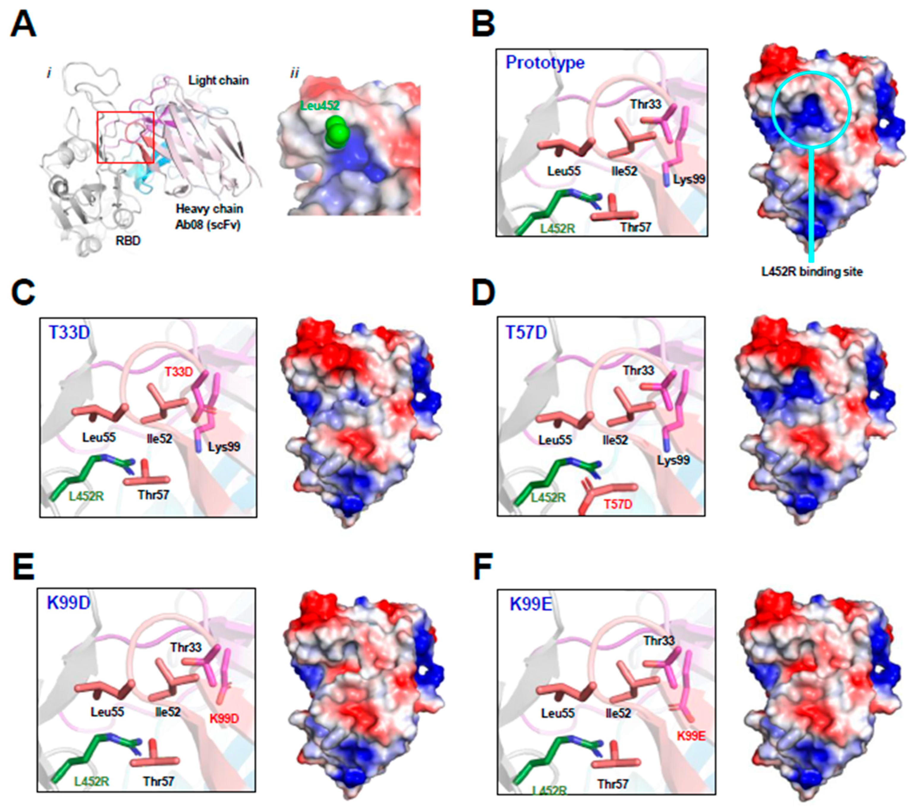 Viruses 16 00566 g001