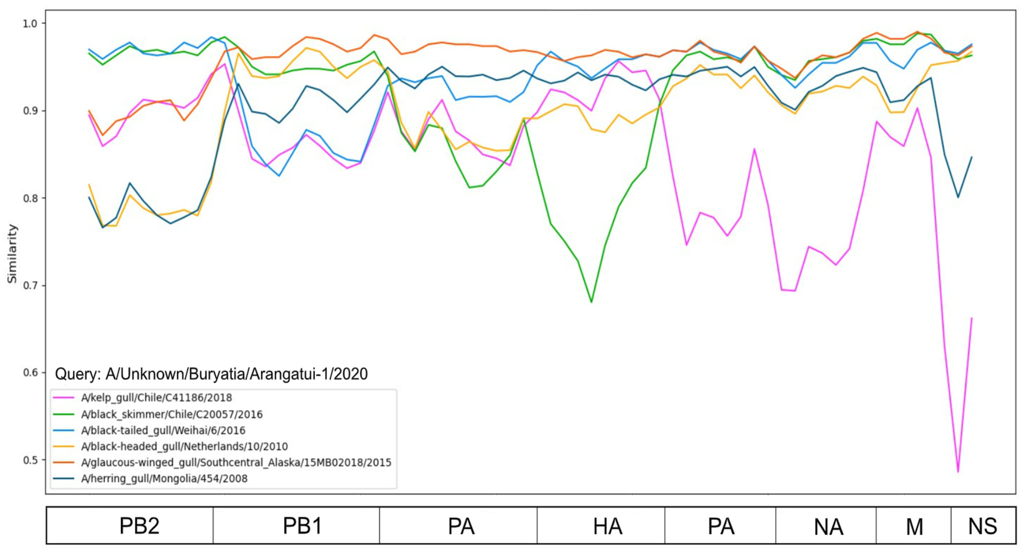 Viruses 16 00568 g003
