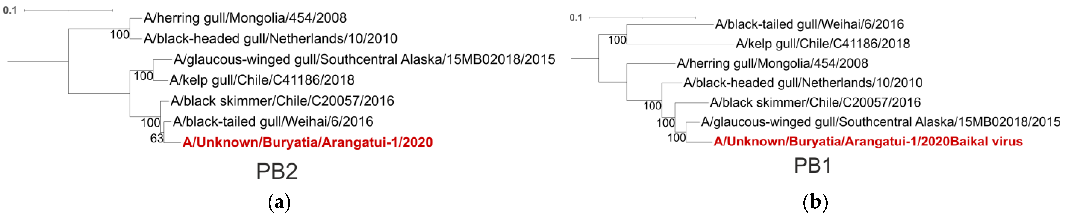 Viruses 16 00568 g004a