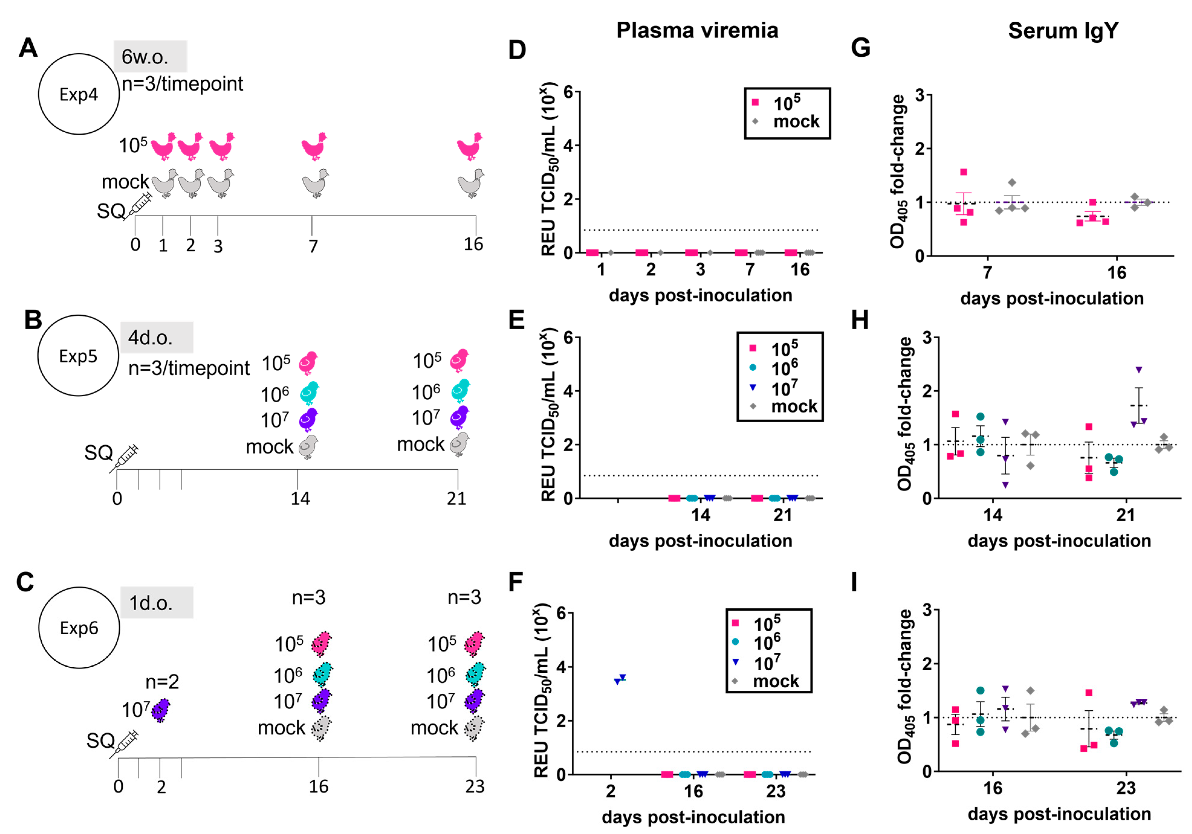 Viruses 16 00569 g002