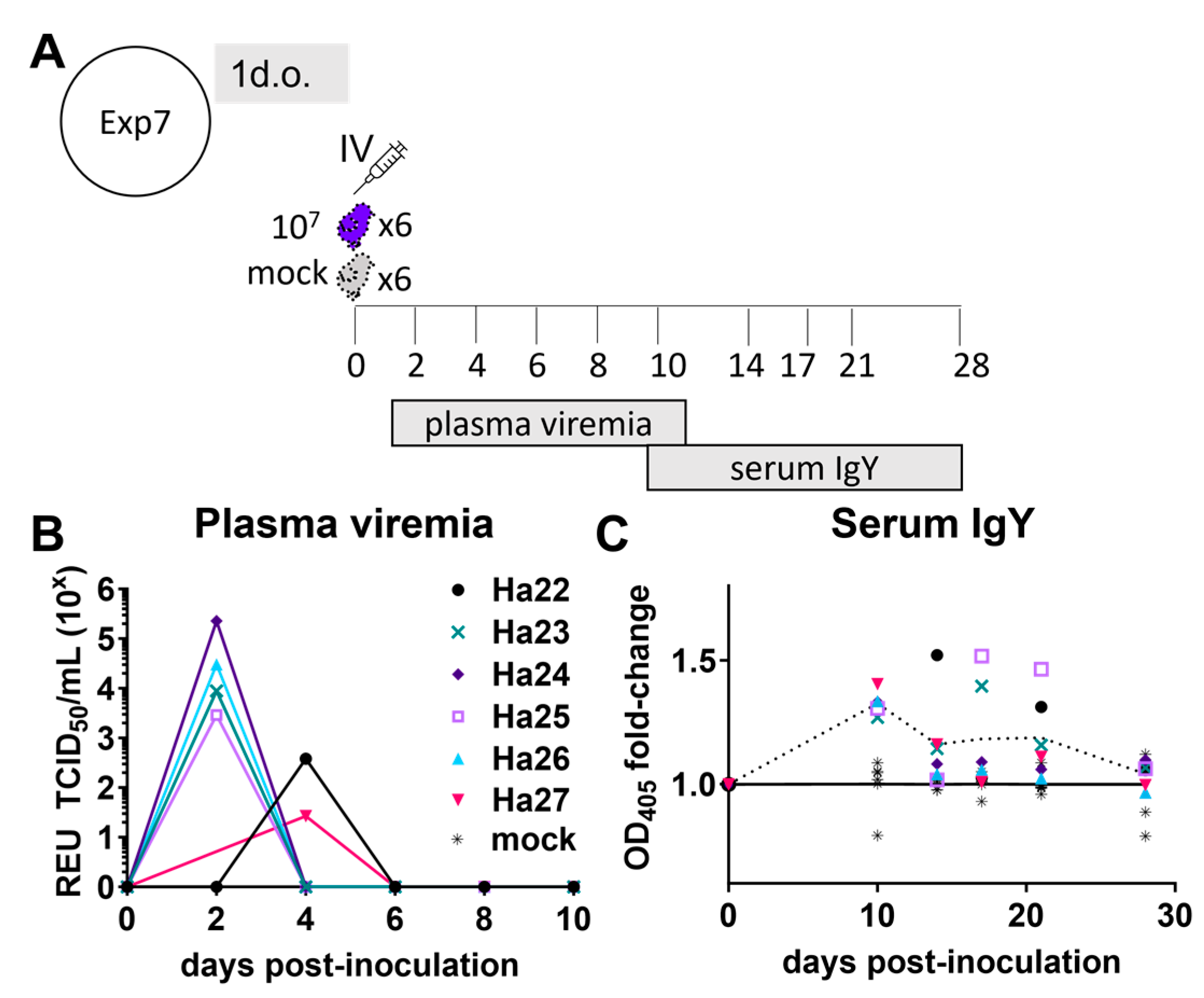 Viruses 16 00569 g003