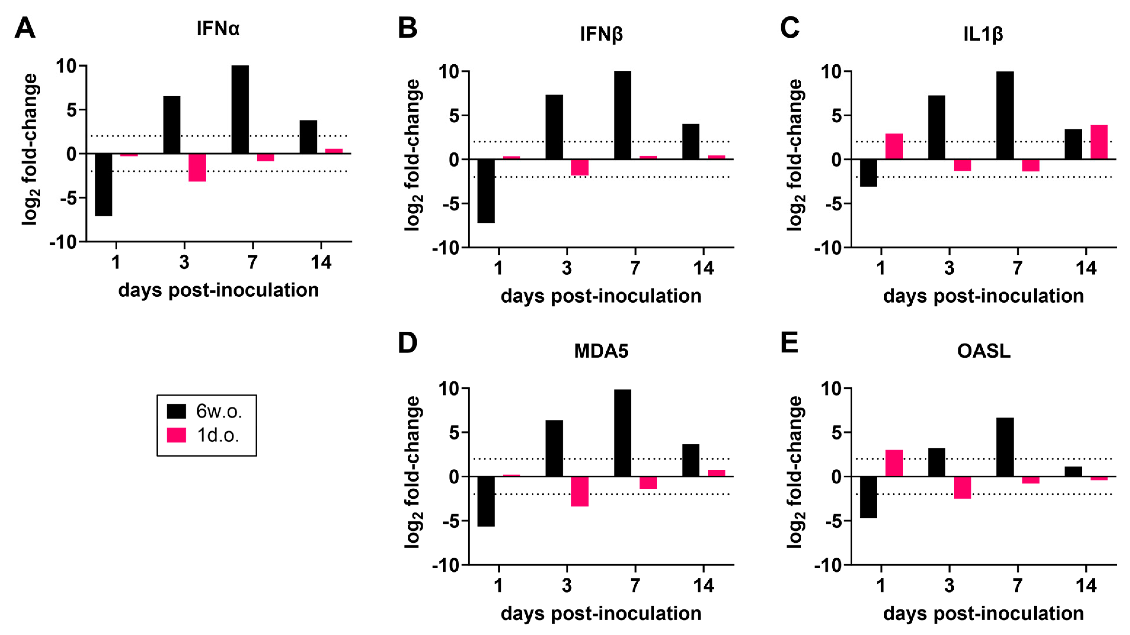 Viruses 16 00569 g005