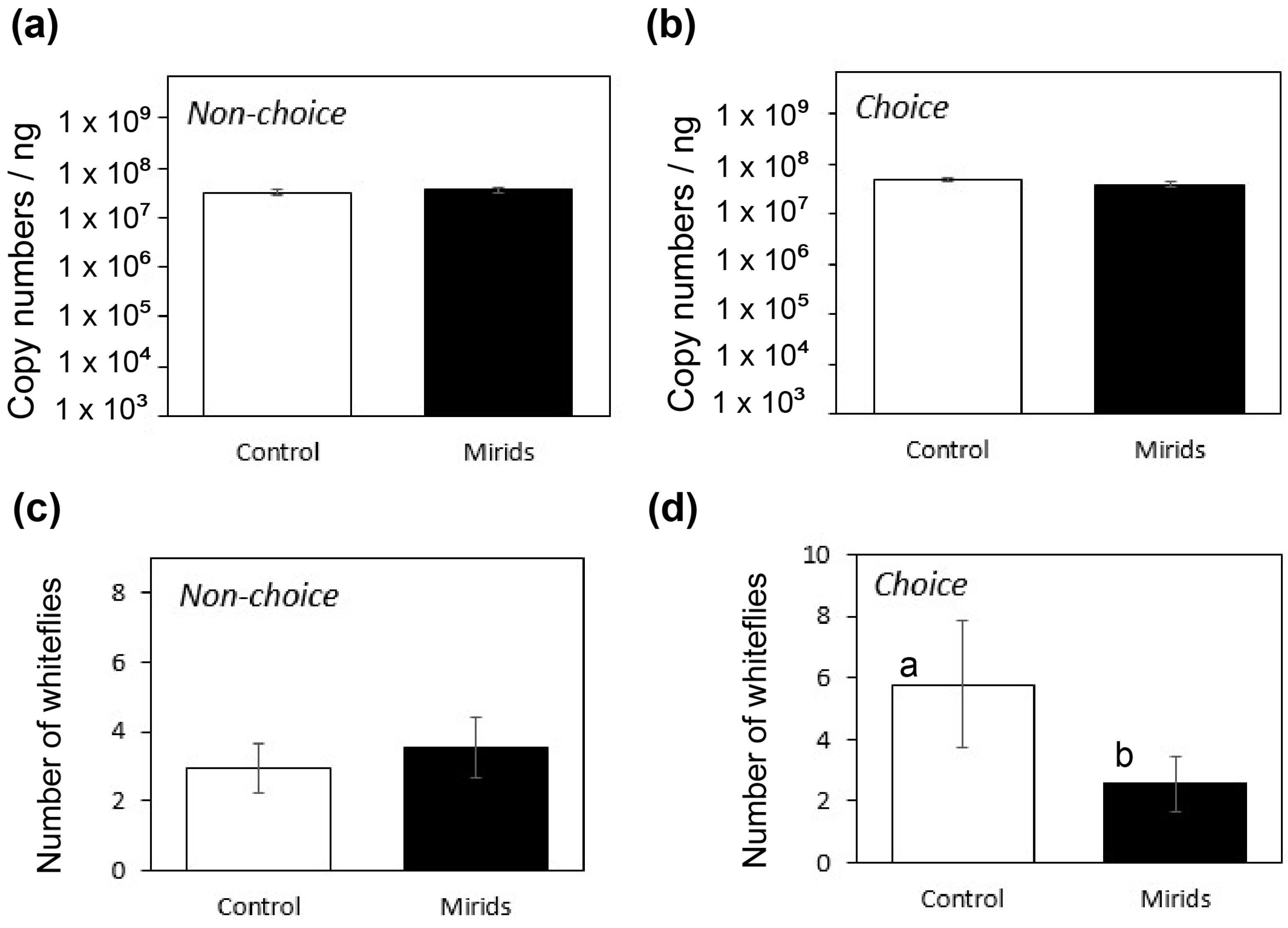 Viruses 16 00587 g002