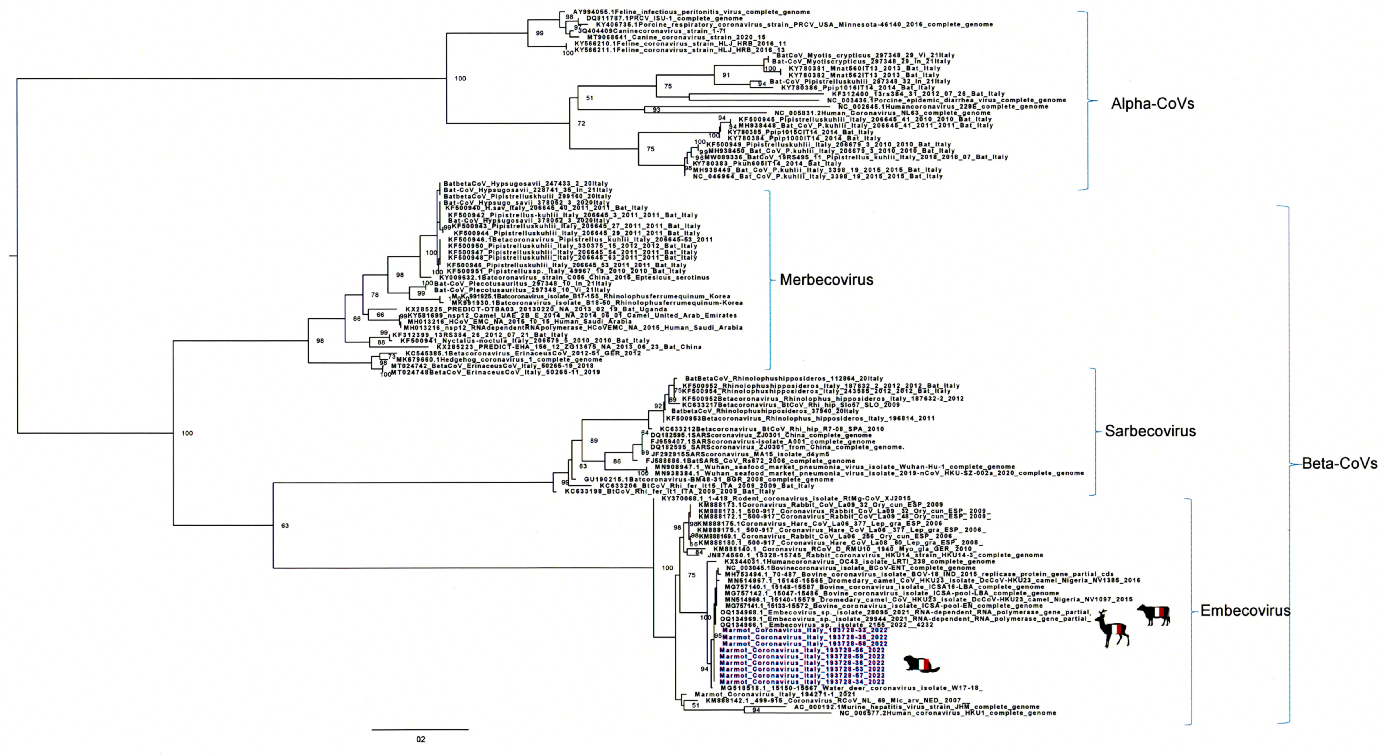 Viruses 16 00591 g002 Viruses 16 00591 g002