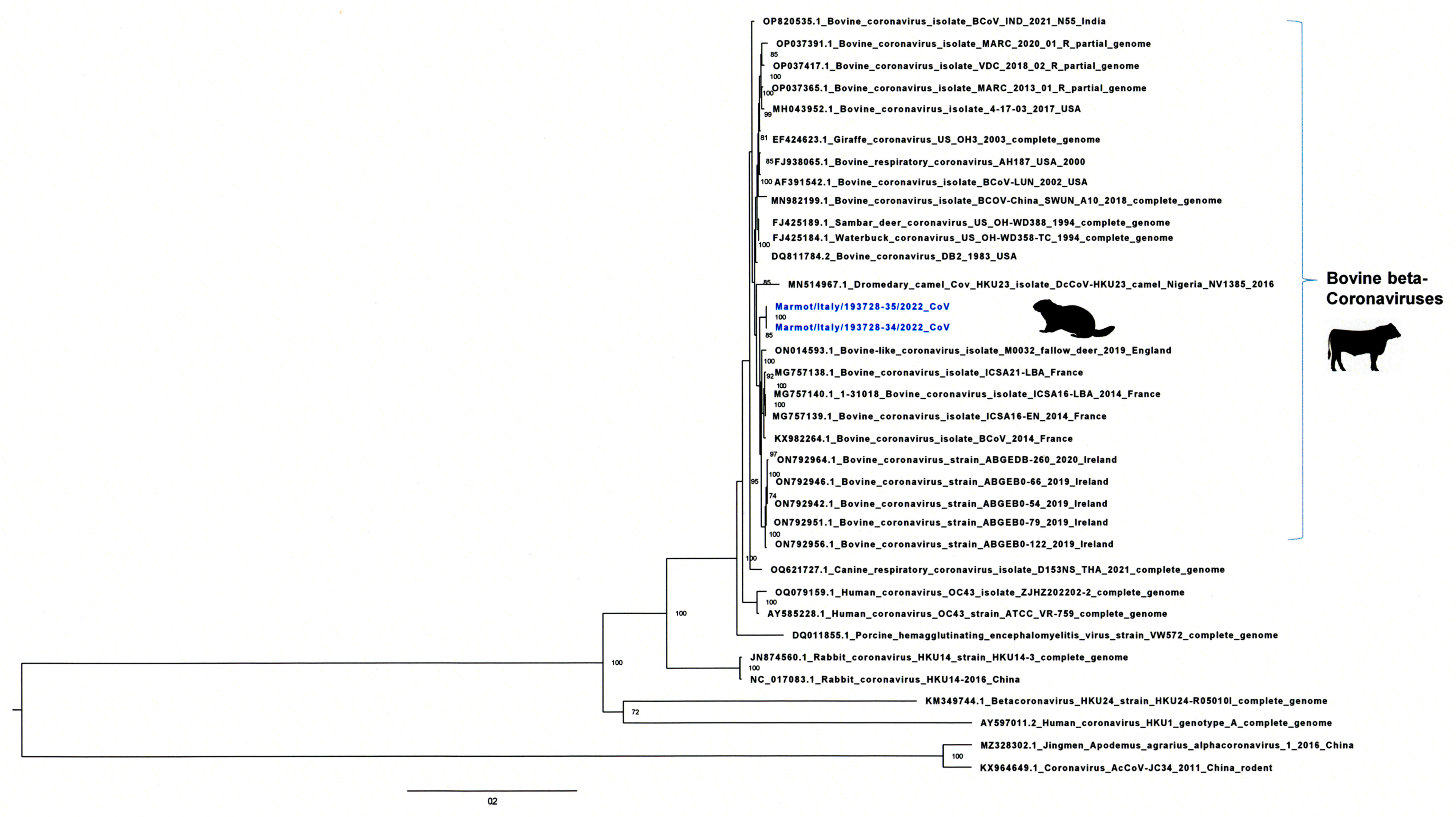 Viruses 16 00591 g003 Viruses 16 00591 g003
