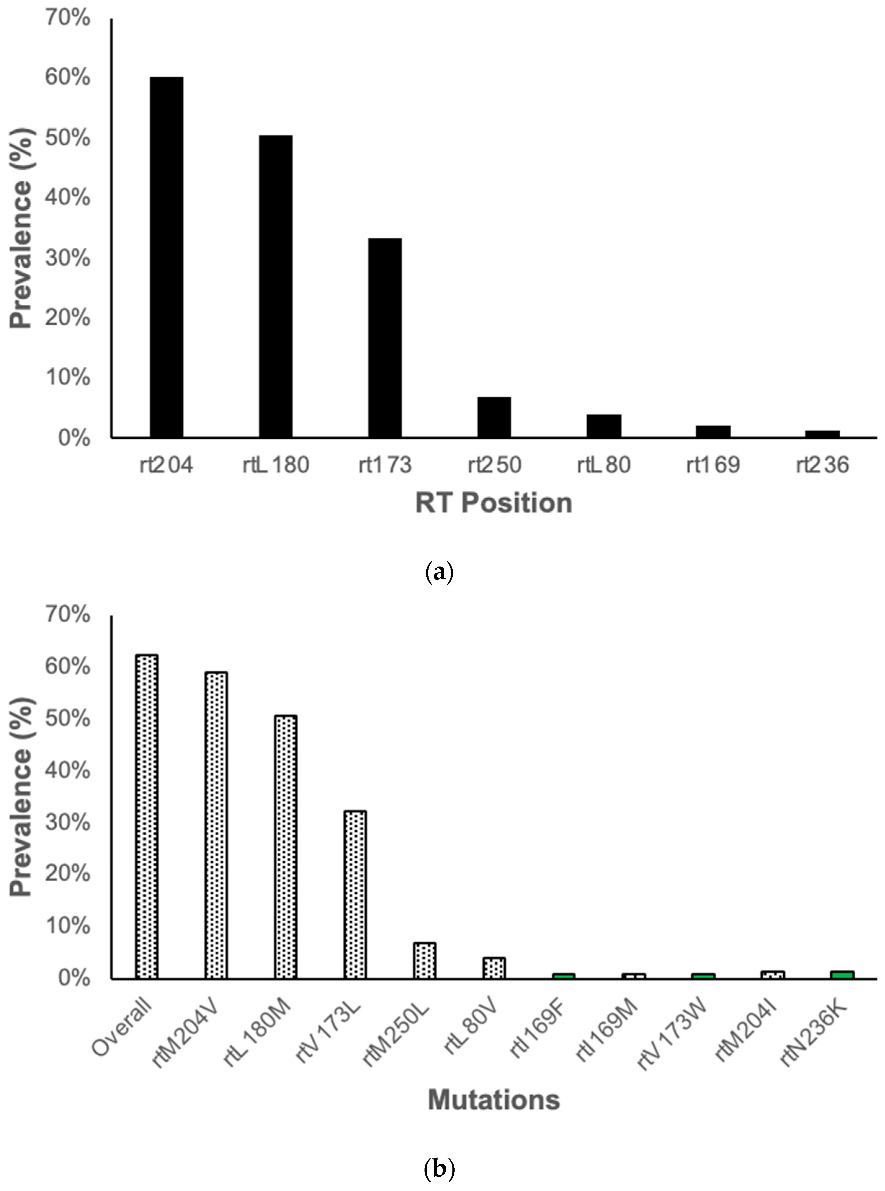 Viruses 16 00592 g003