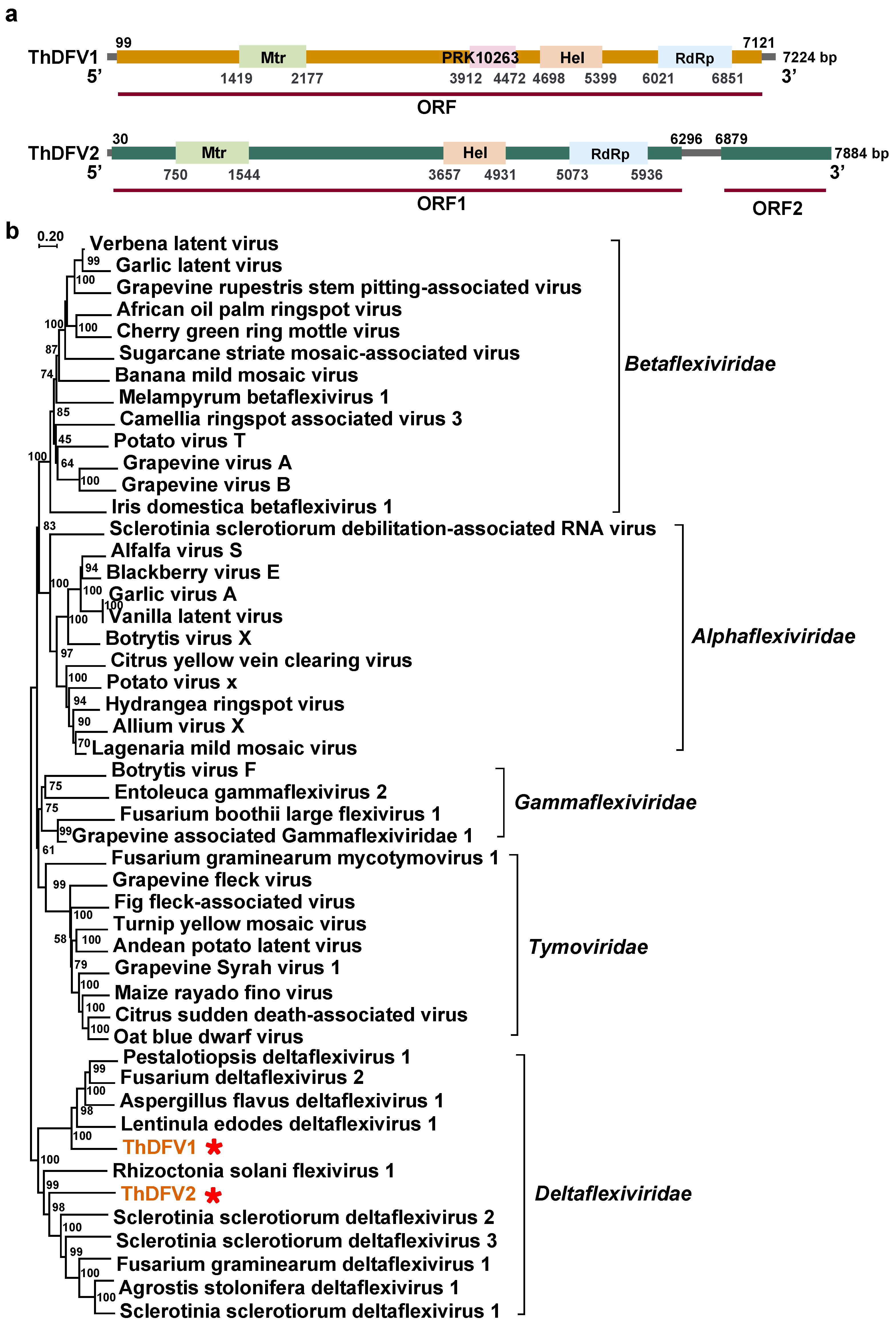 Viruses 16 00597 g004 Viruses 16 00597 g004
