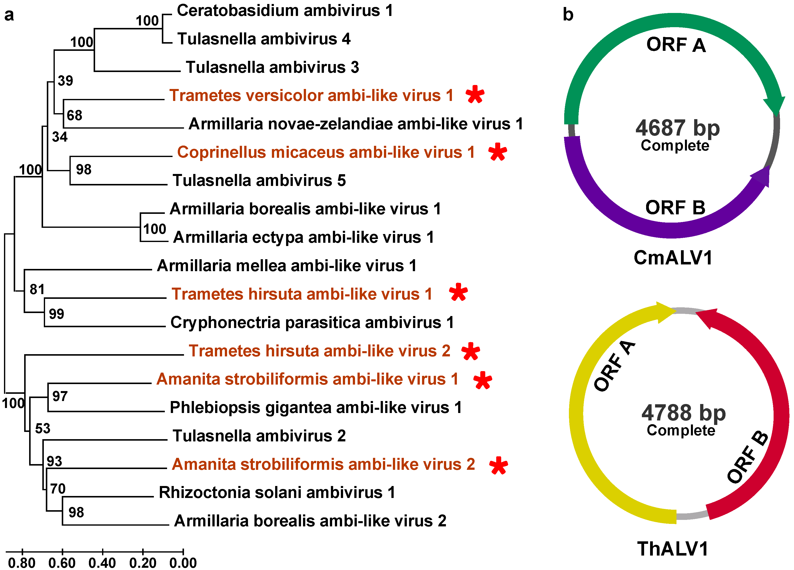 Viruses 16 00597 g005 Viruses 16 00597 g005