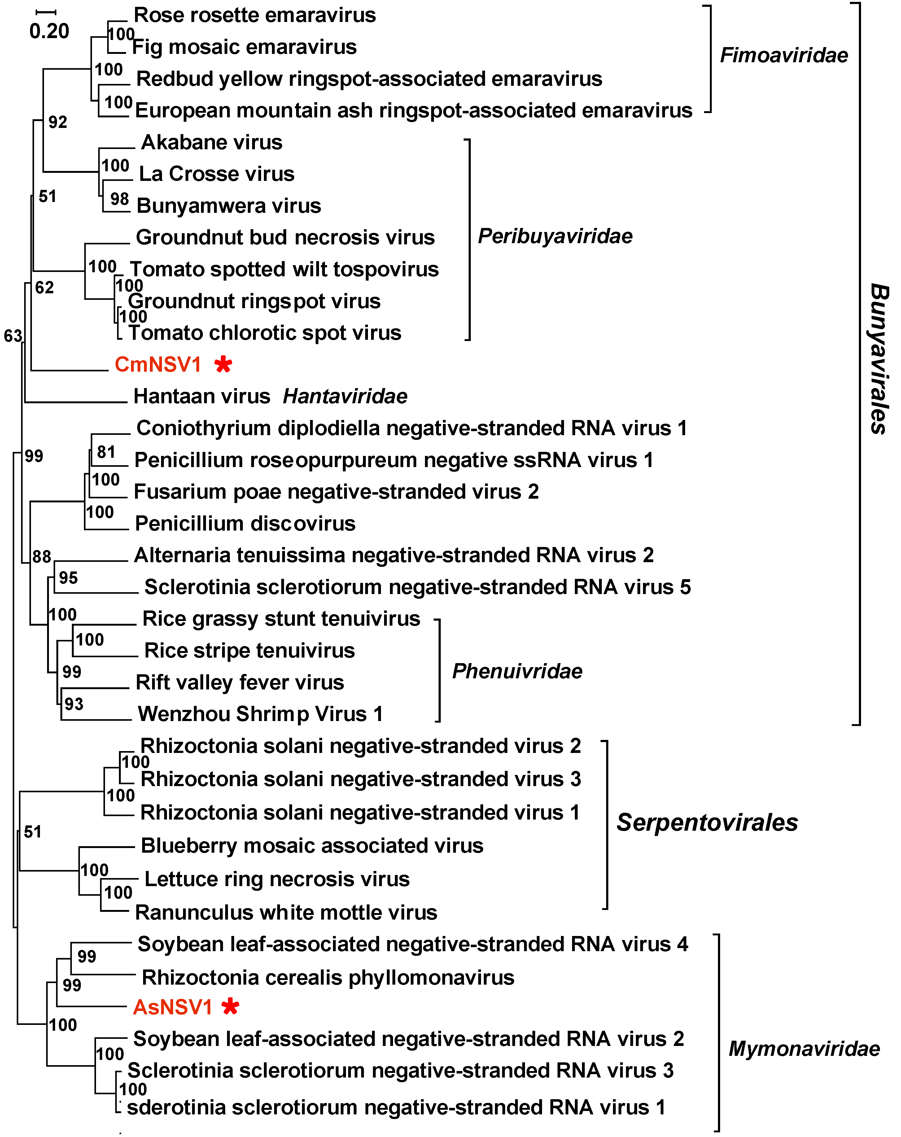 Viruses 16 00597 g006 Viruses 16 00597 g006