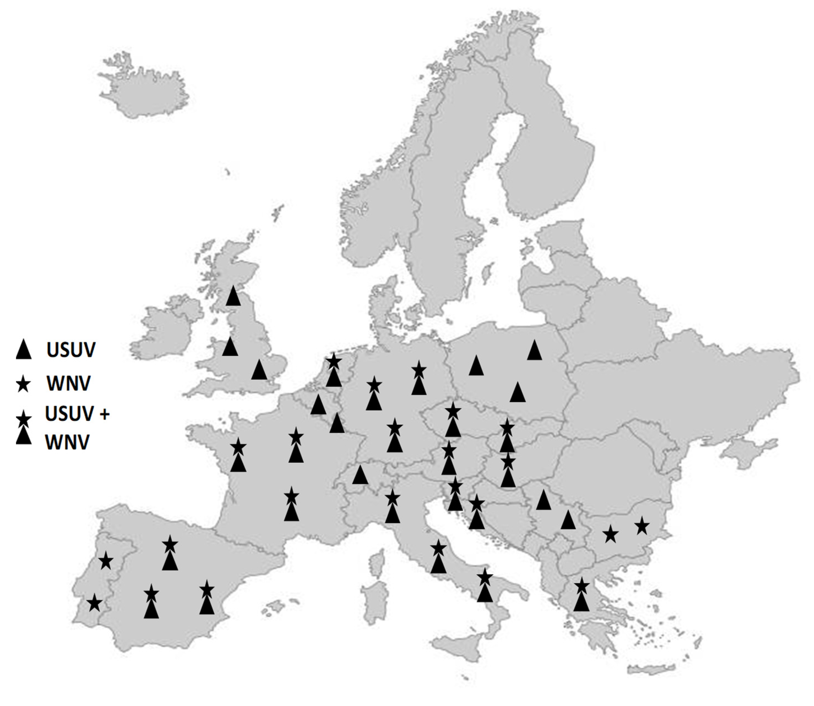 Viruses 16 00599 g002