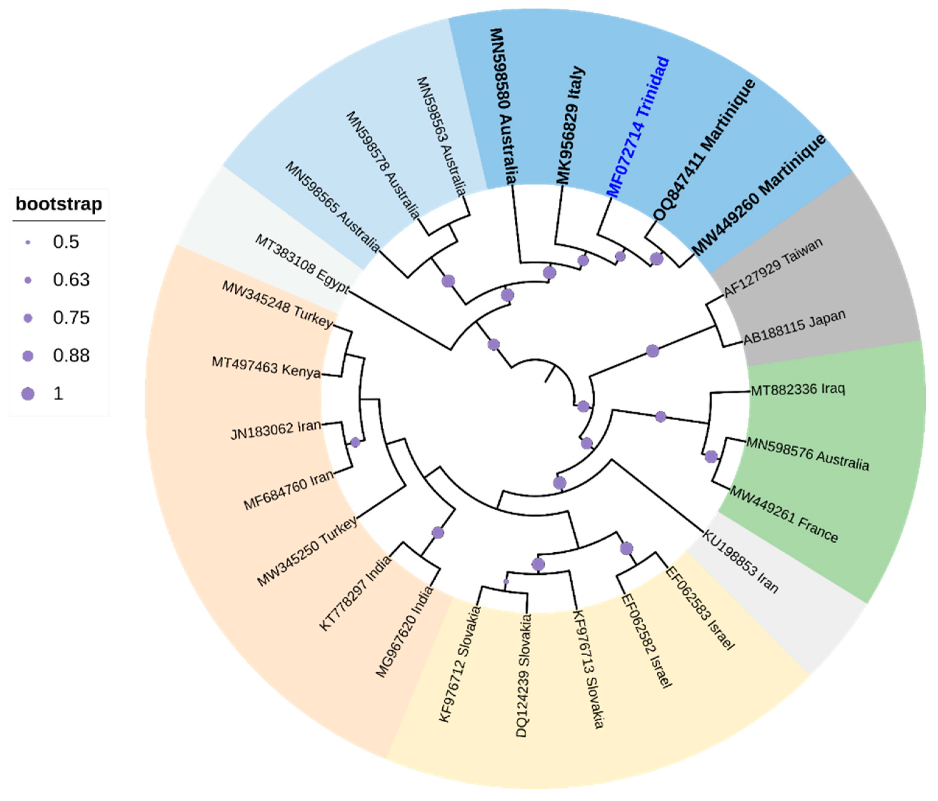 Viruses 16 00603 g006 Viruses 16 00603 g006