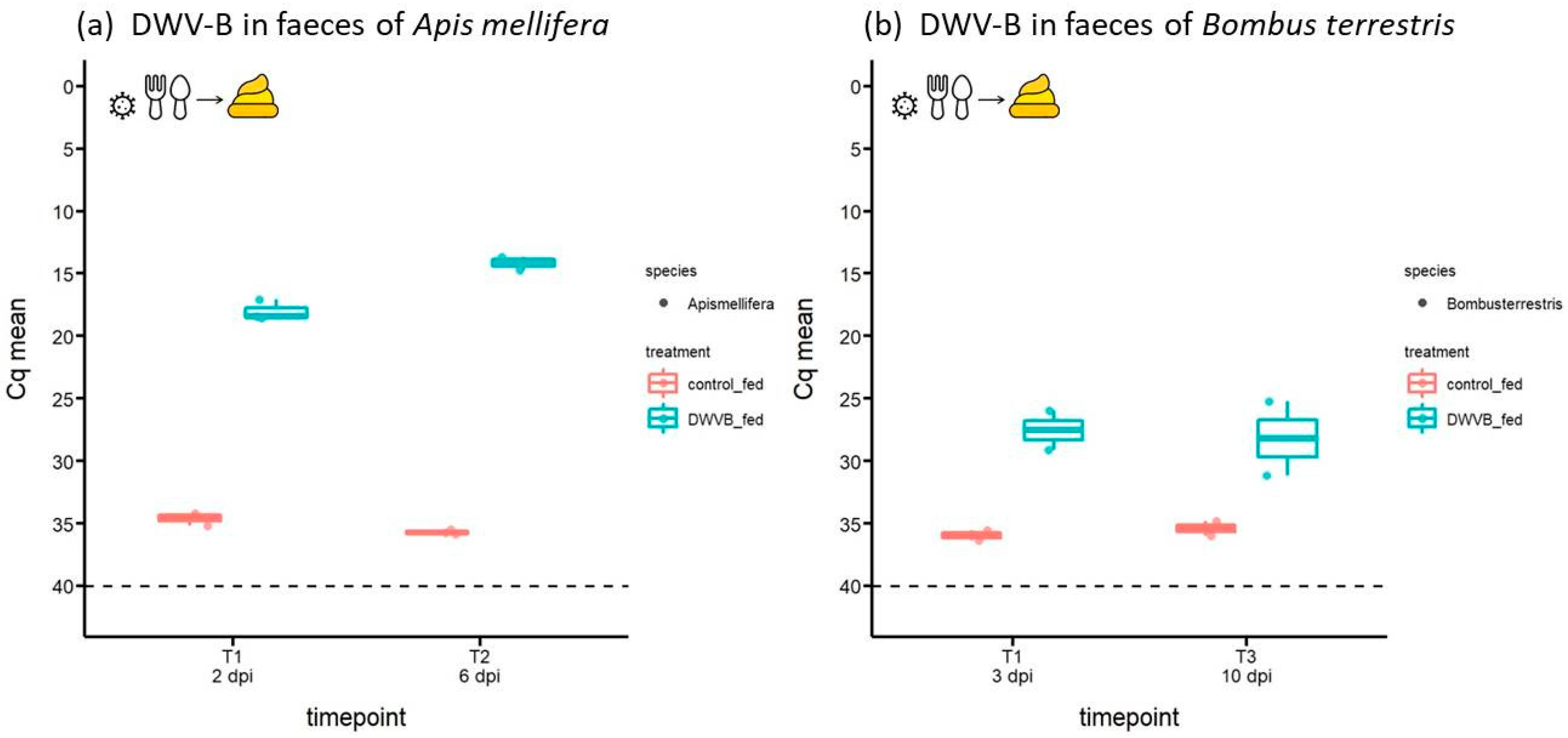 Viruses 16 00607 g001