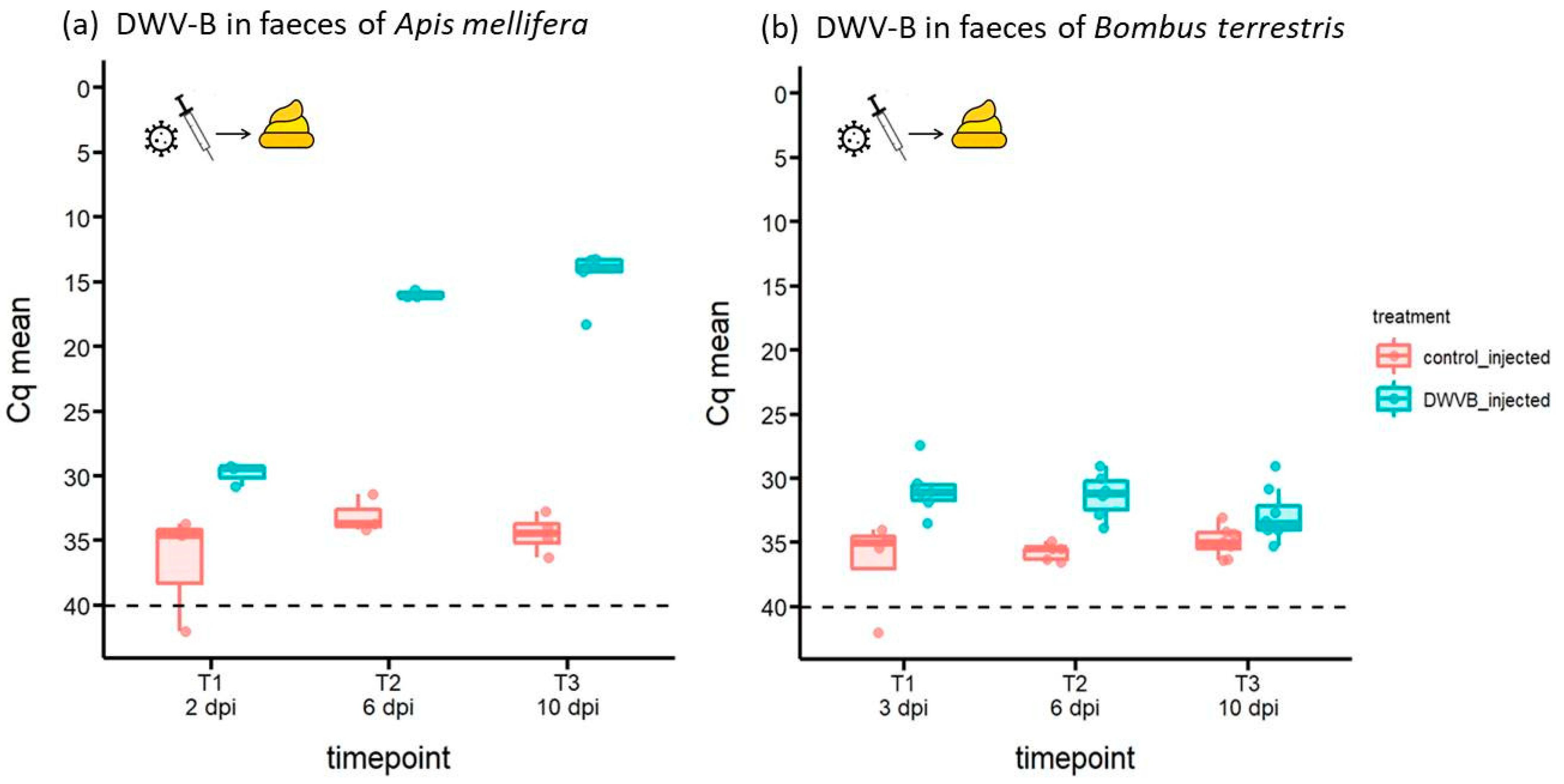Viruses 16 00607 g002
