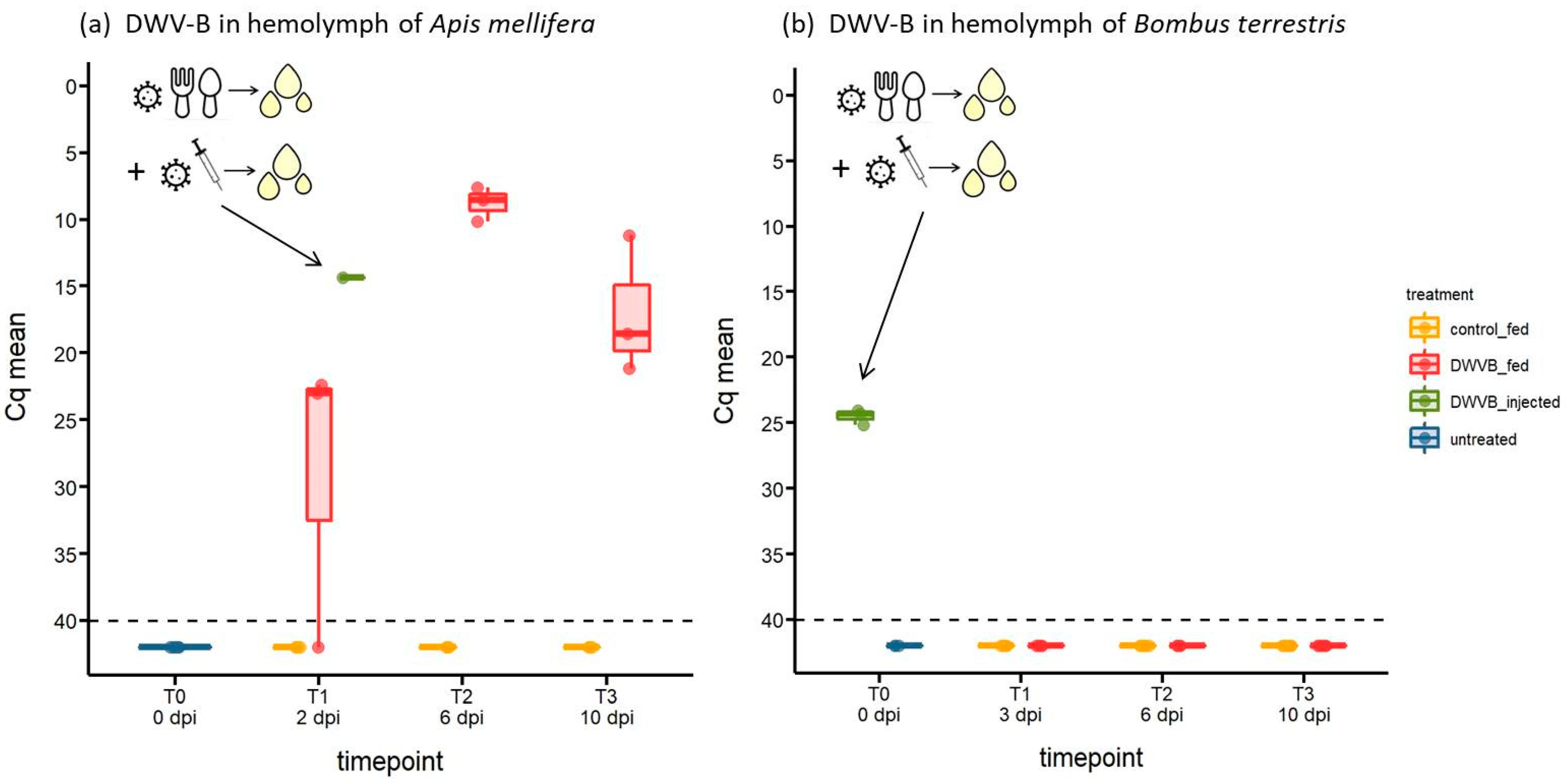Viruses 16 00607 g003