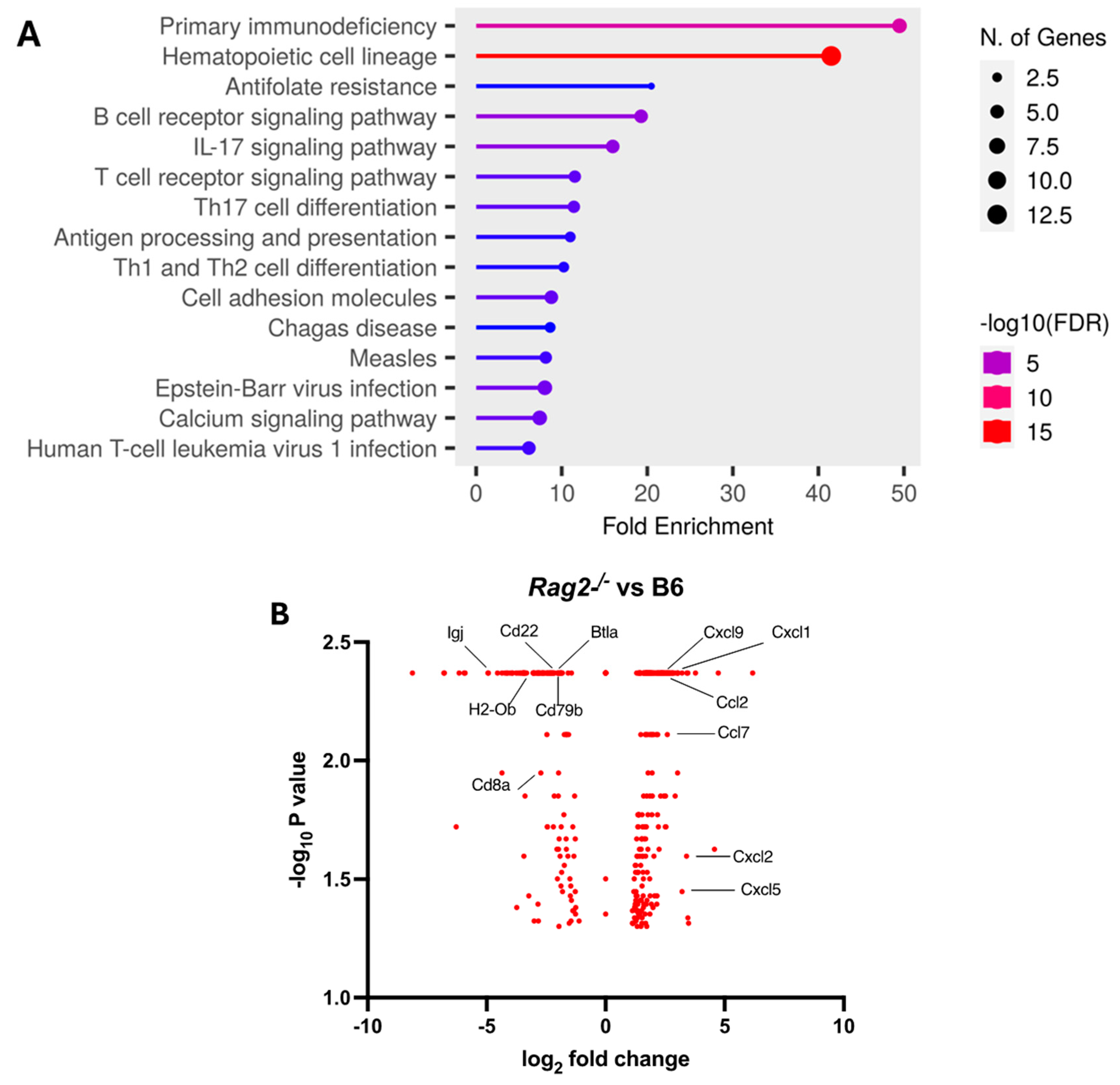 Viruses 16 00611 g004