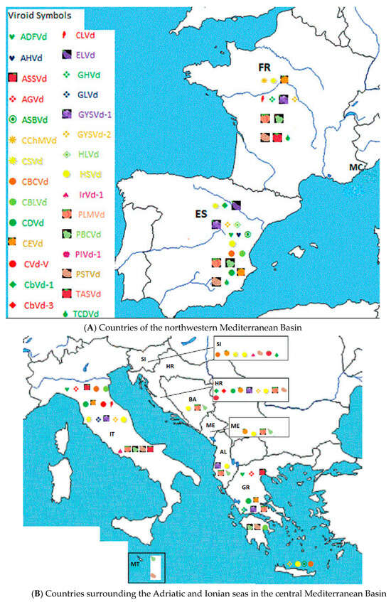 Viruses 16 00612 g001a