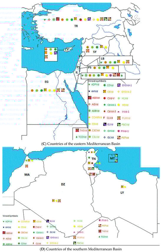 Viruses 16 00612 g001b