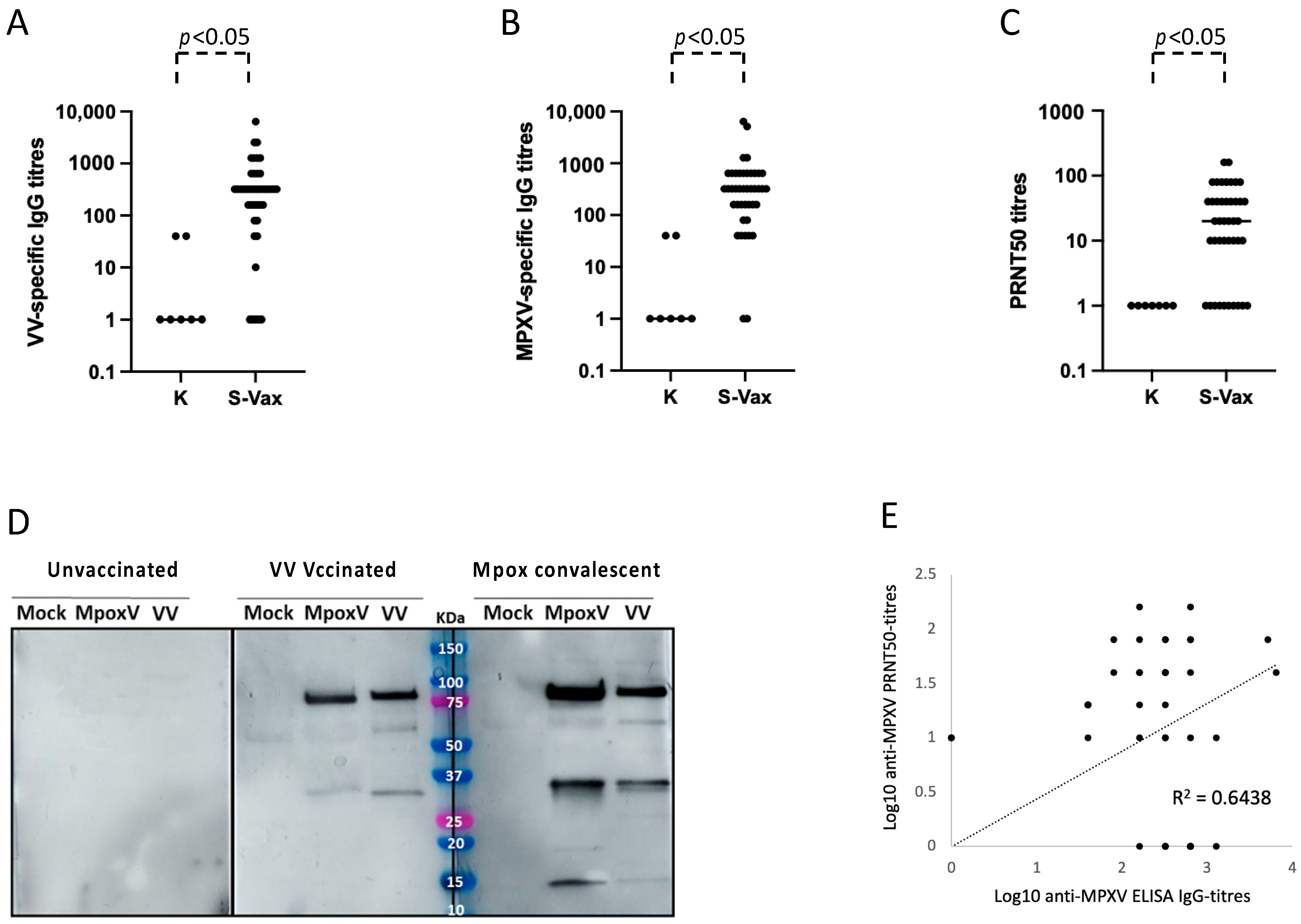 Viruses 16 00620 g002
