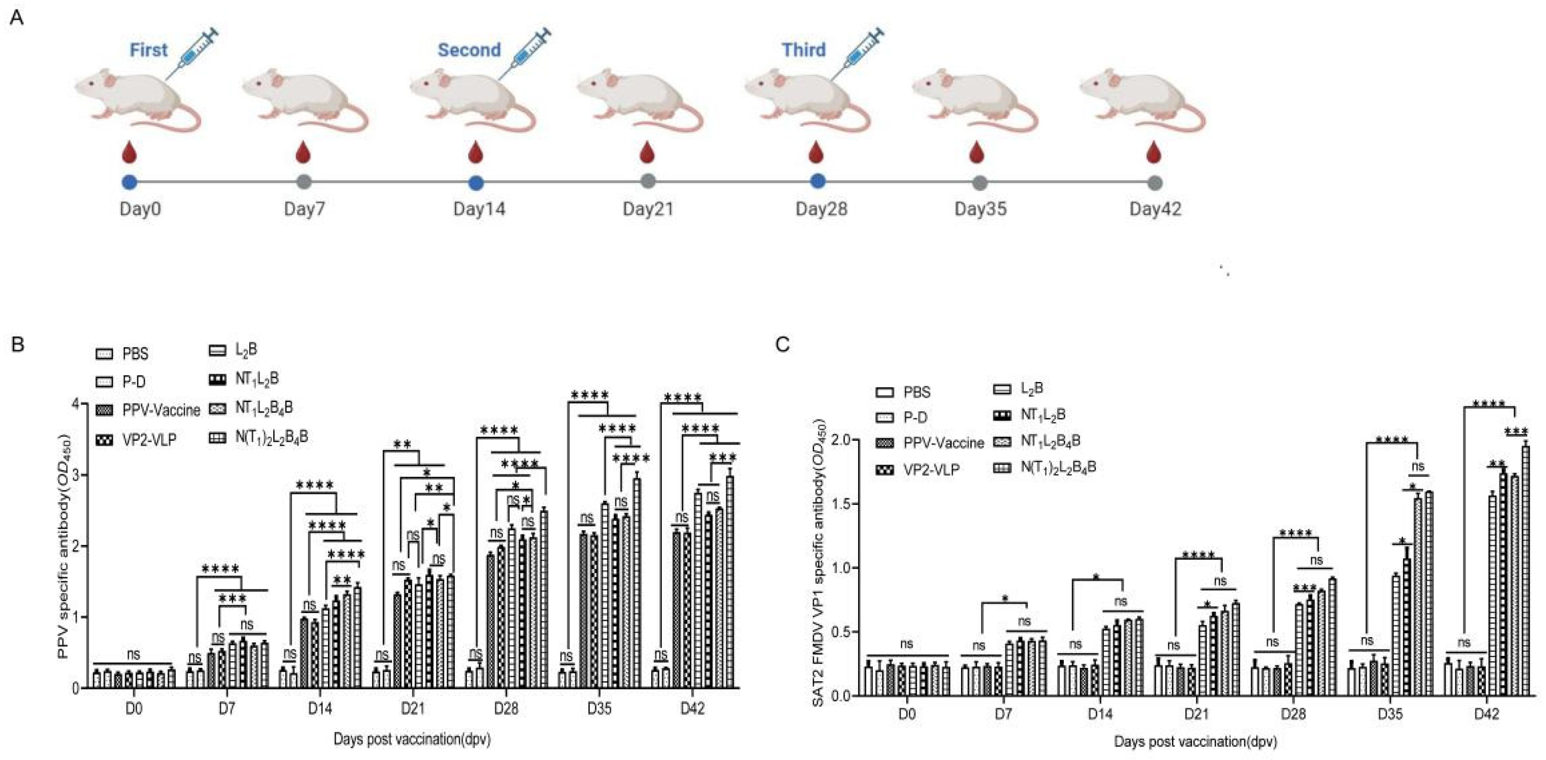 Viruses 16 00621 g005 Viruses 16 00621 g005