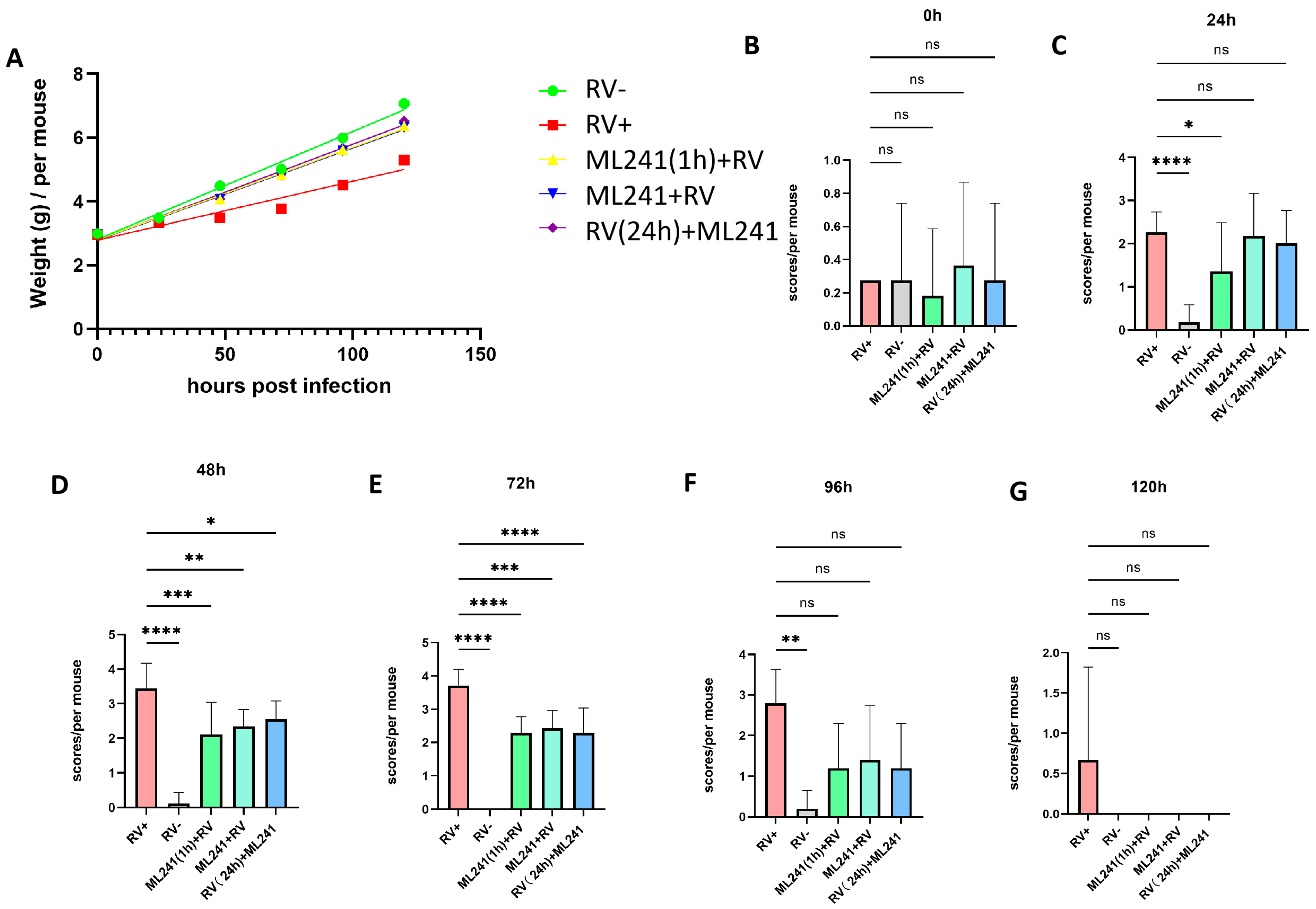 Viruses 16 00623 g005 Viruses 16 00623 g005