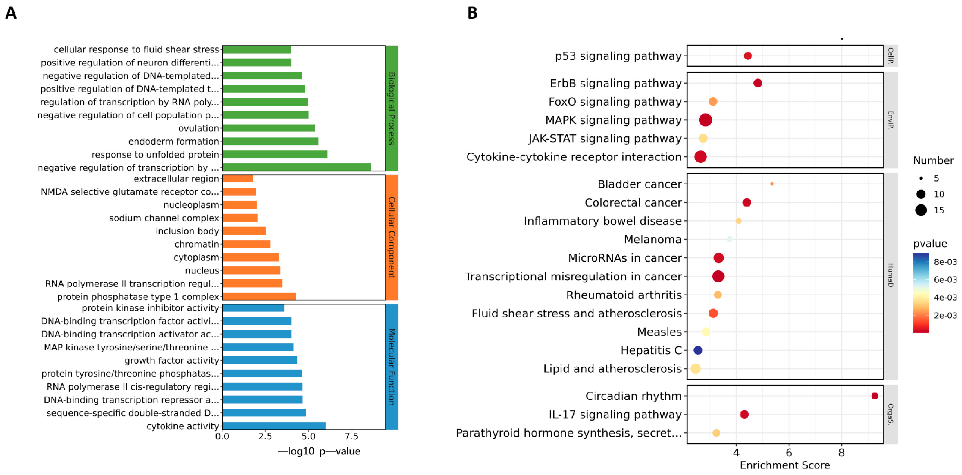 Viruses 16 00623 g008 Viruses 16 00623 g008