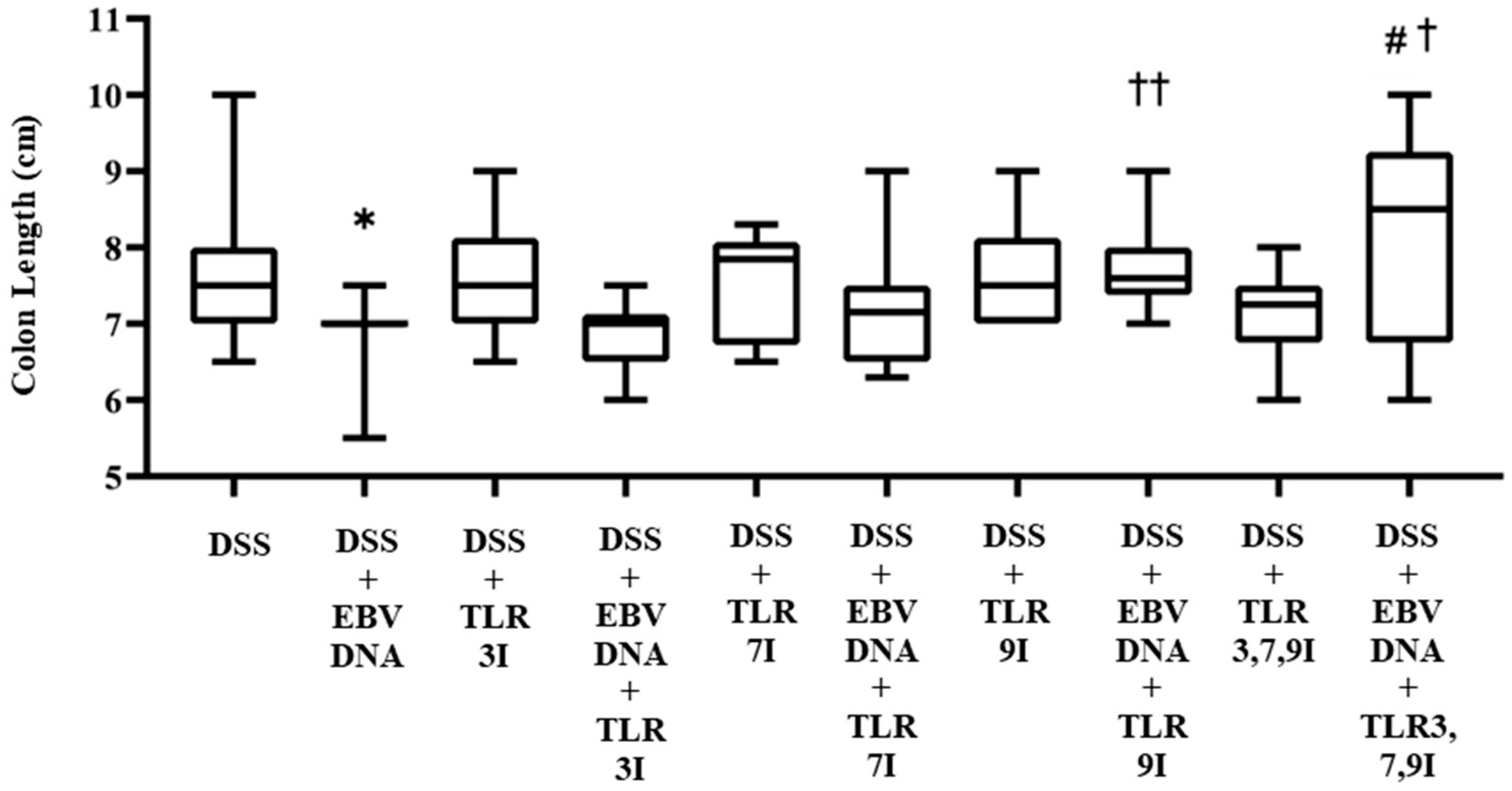 Viruses 16 00624 g003