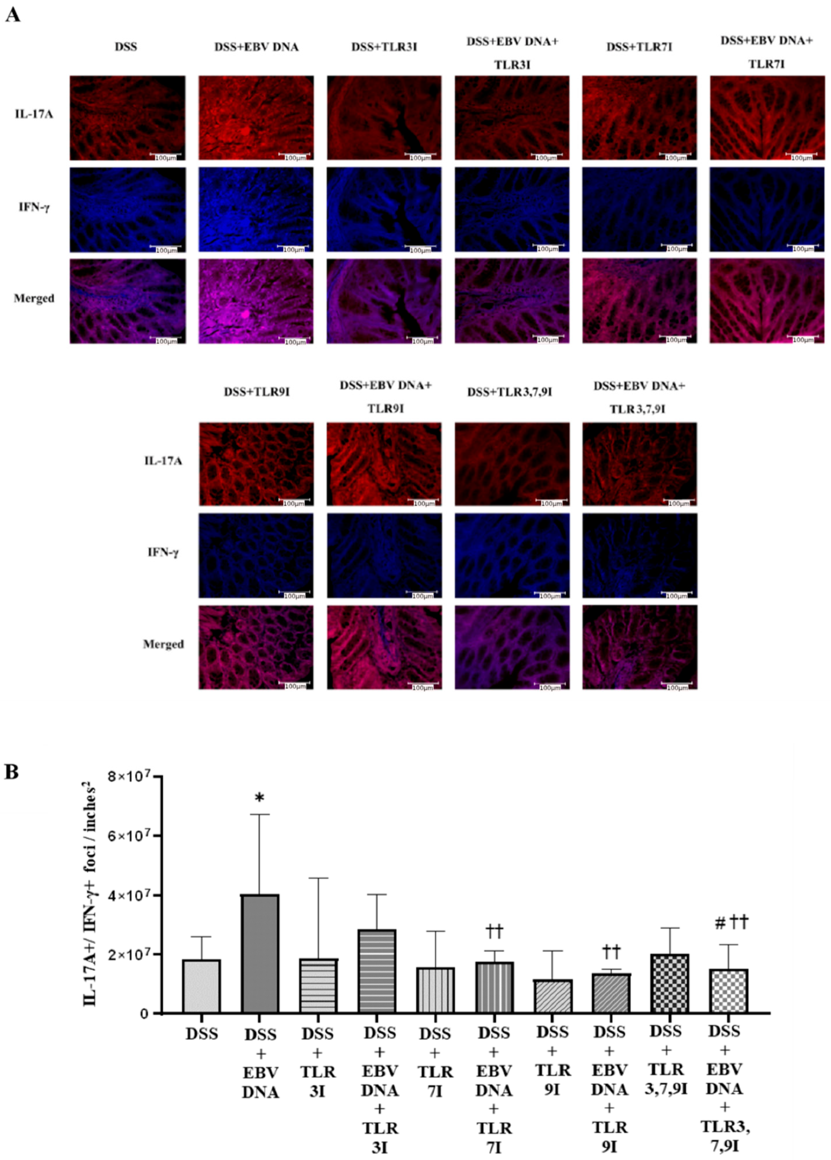 Viruses 16 00624 g005