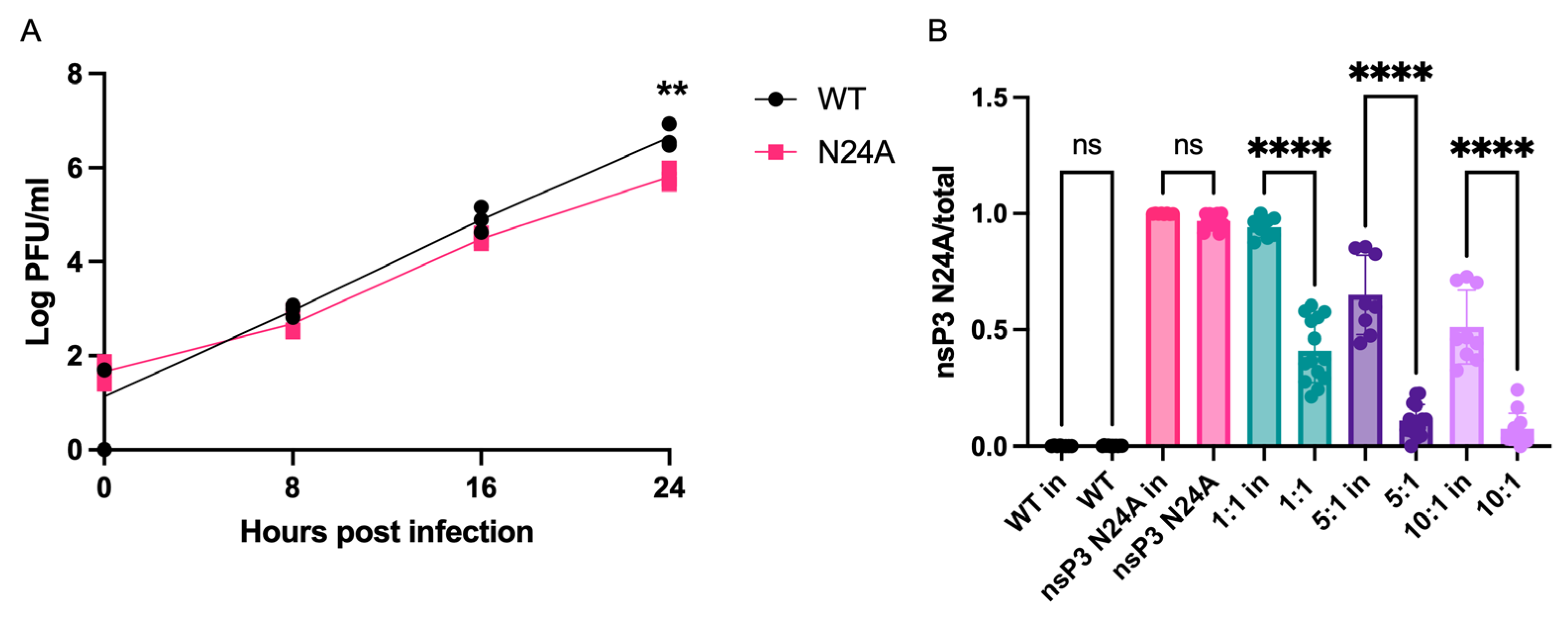 Viruses 16 00636 g001 Viruses 16 00636 g001